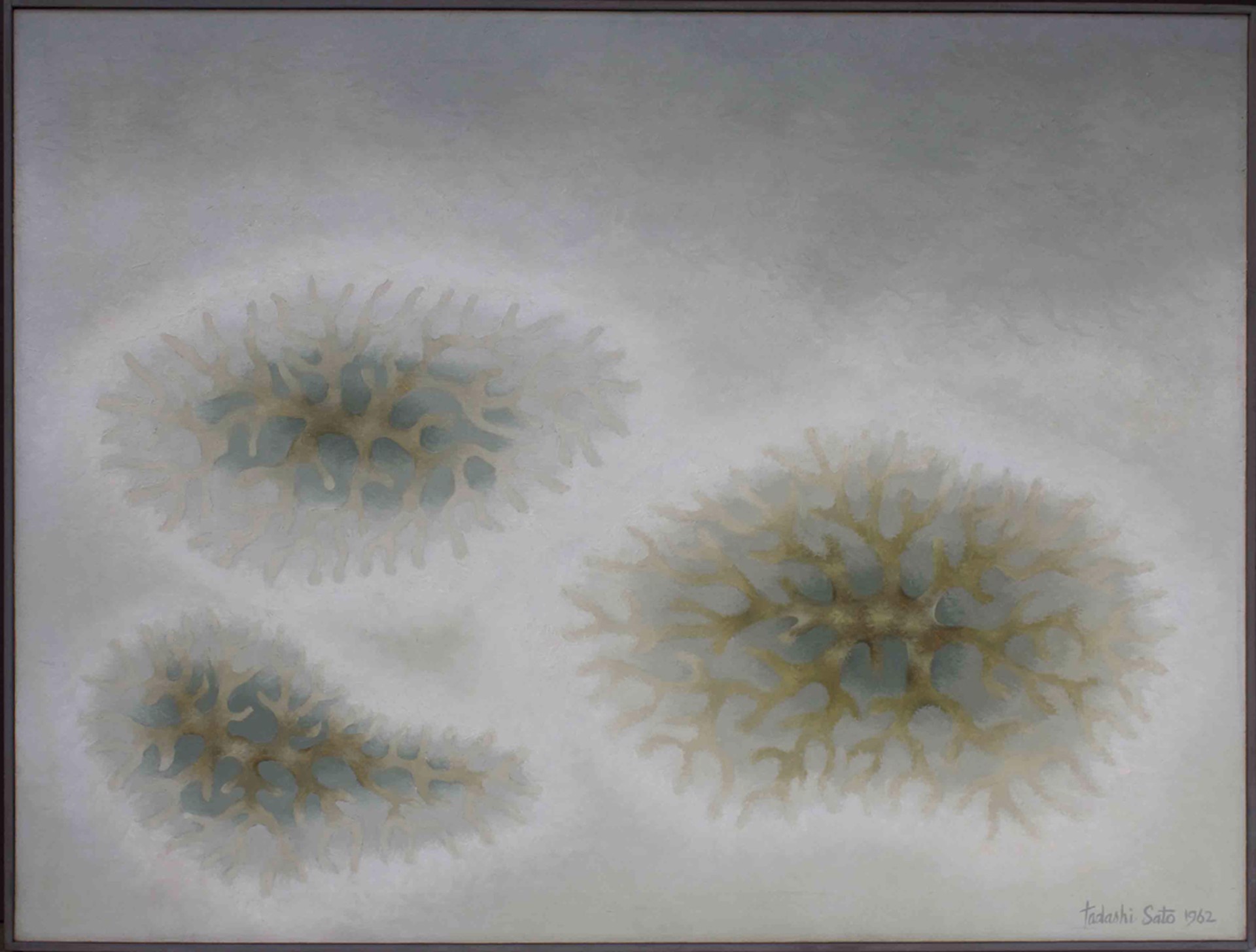 Sea Forms by Tadashi Sato