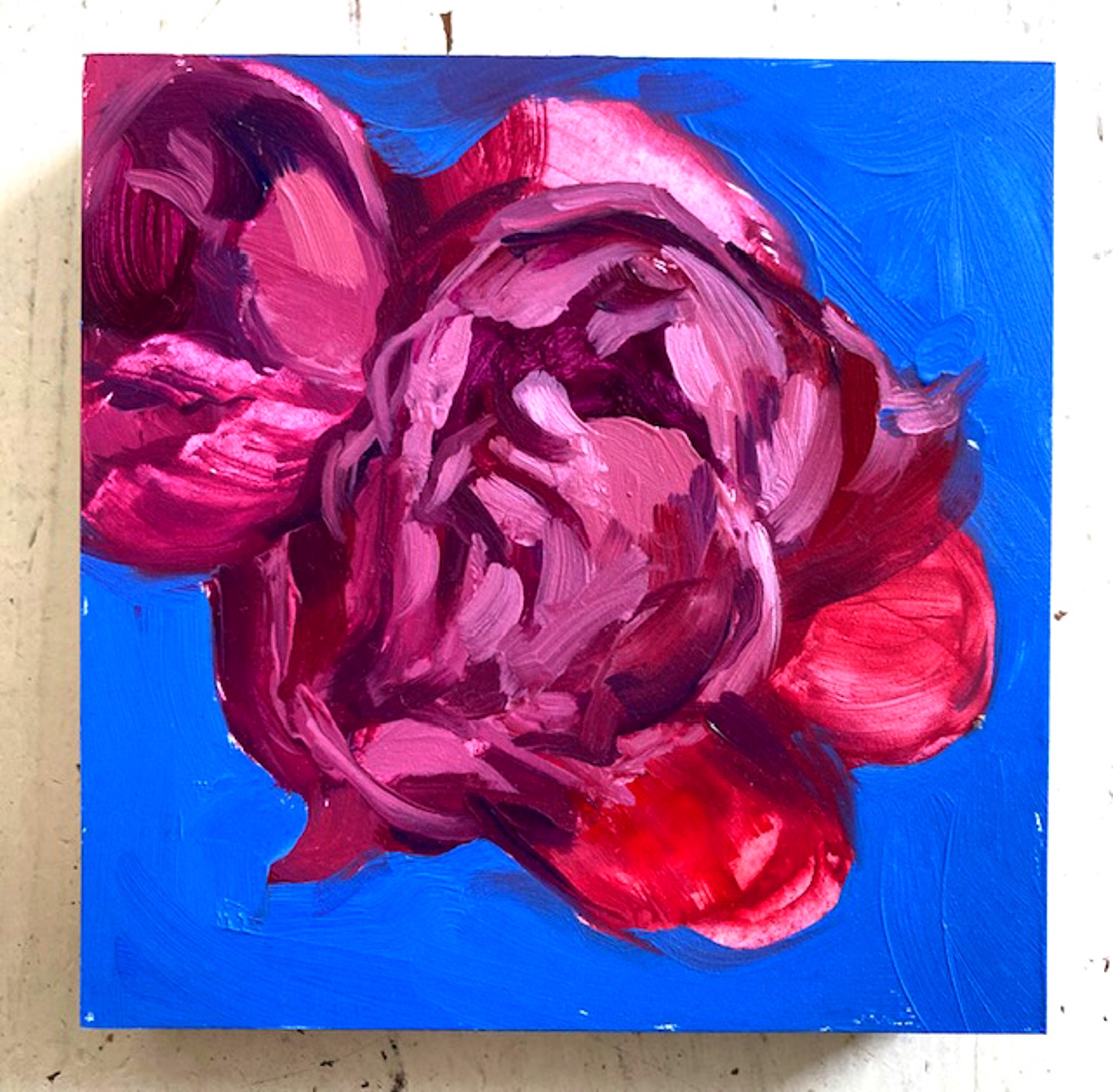 Peony Project #30 by Amy R. Peterson*