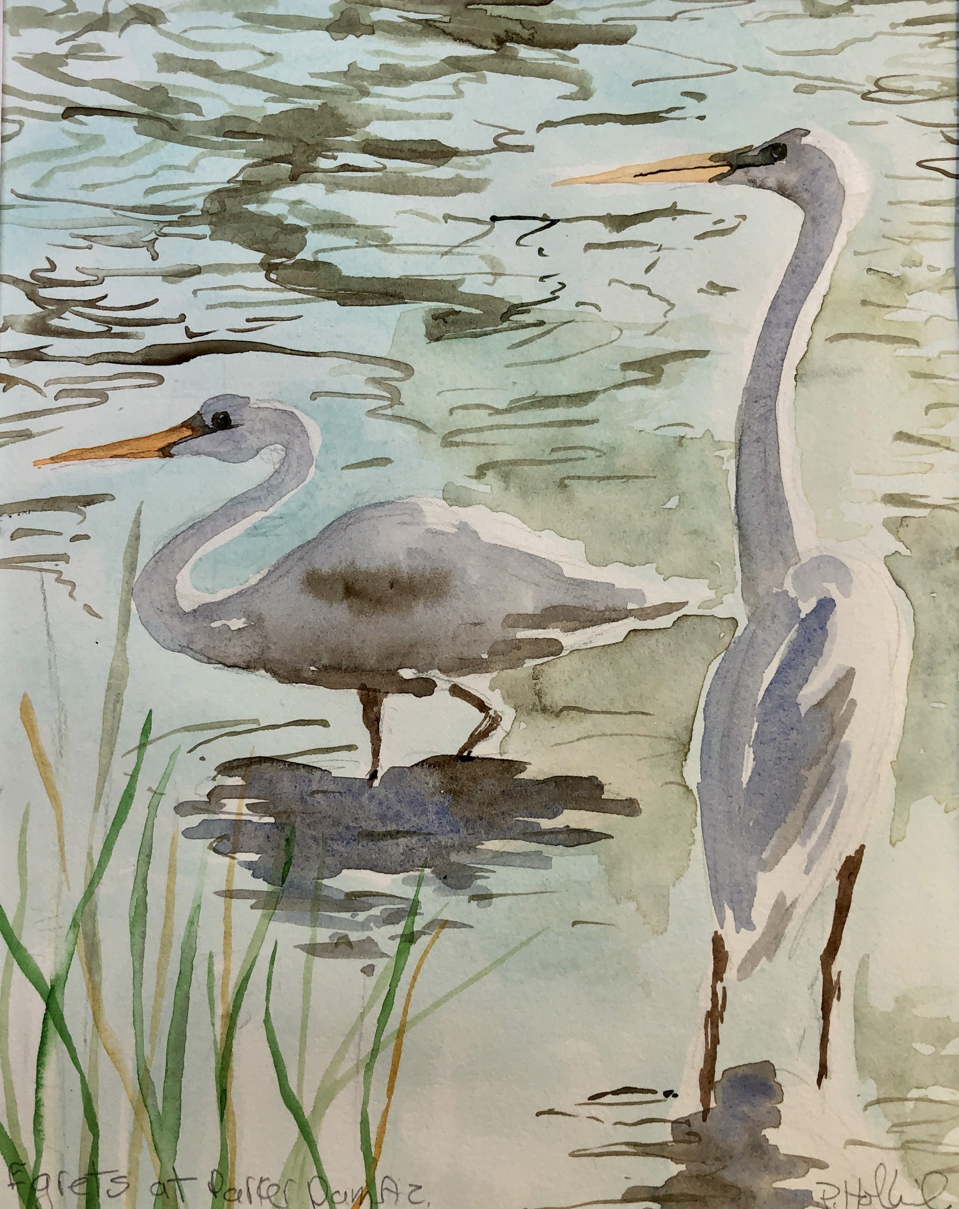 Egrets at Parker Dam - card by Pamela Hollinde
