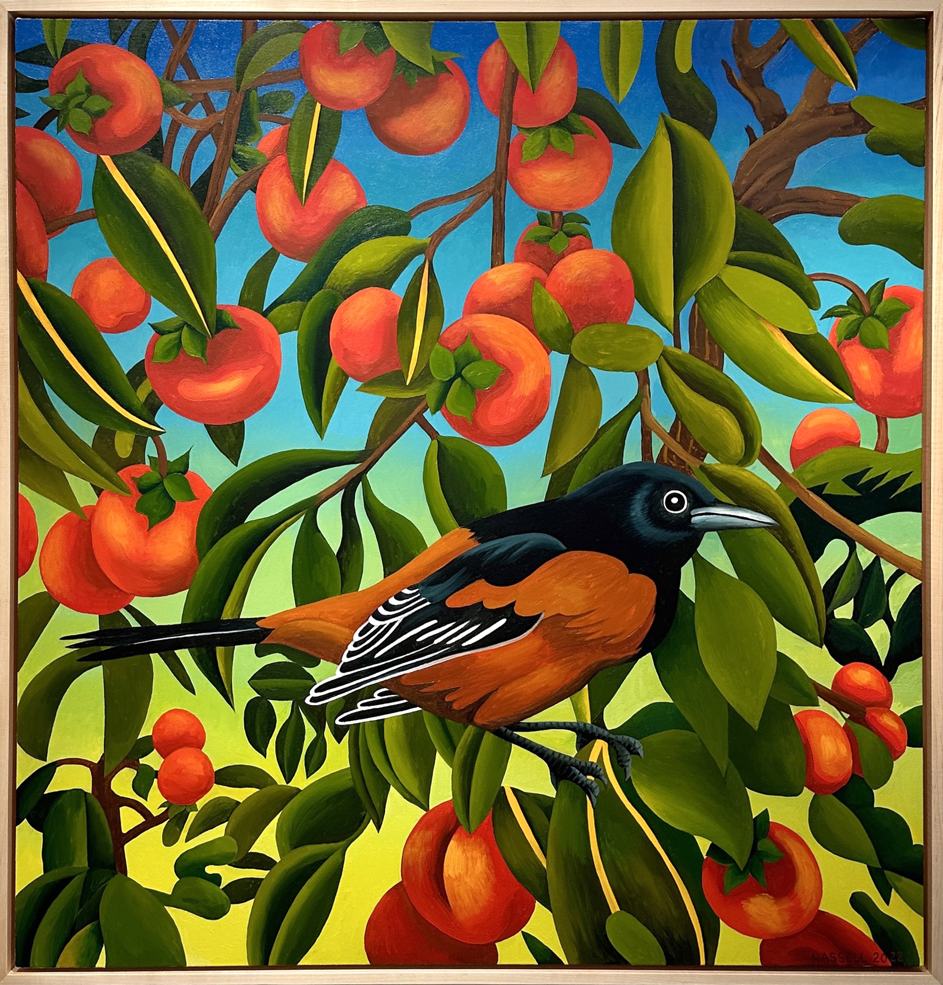 Orchard Oriole with Persimmons by Billy Hassell