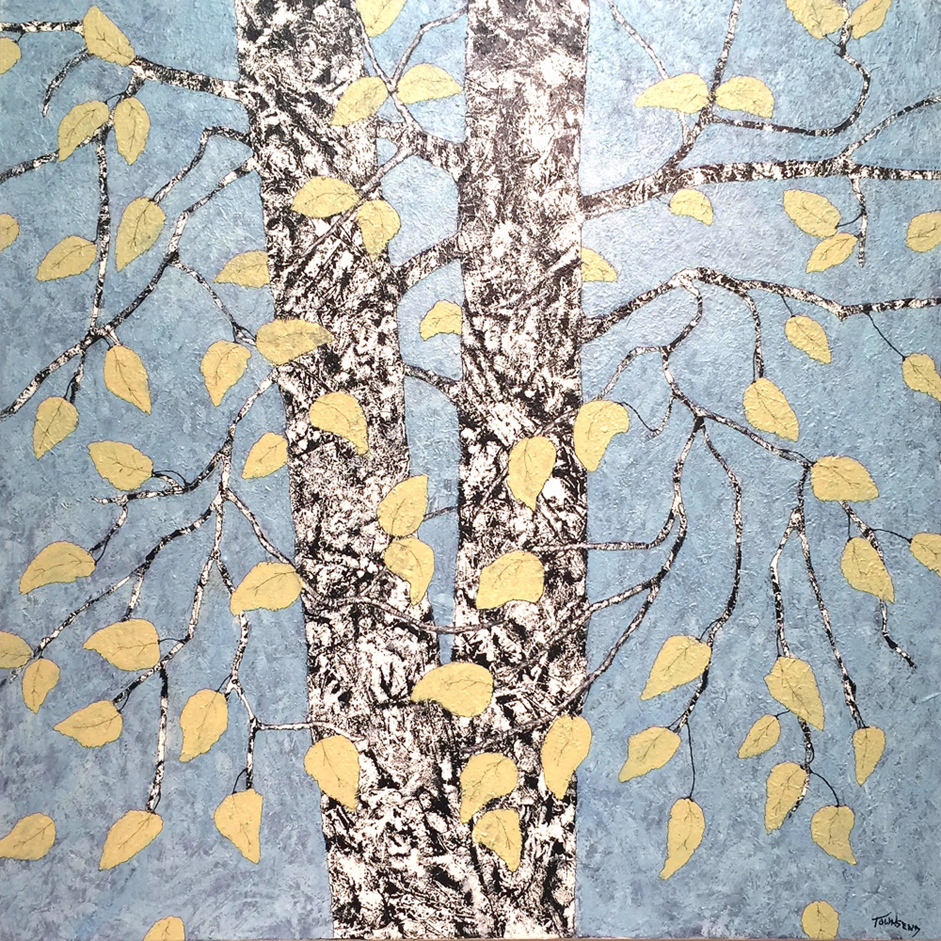 Birch Opus 16 by John Townsend