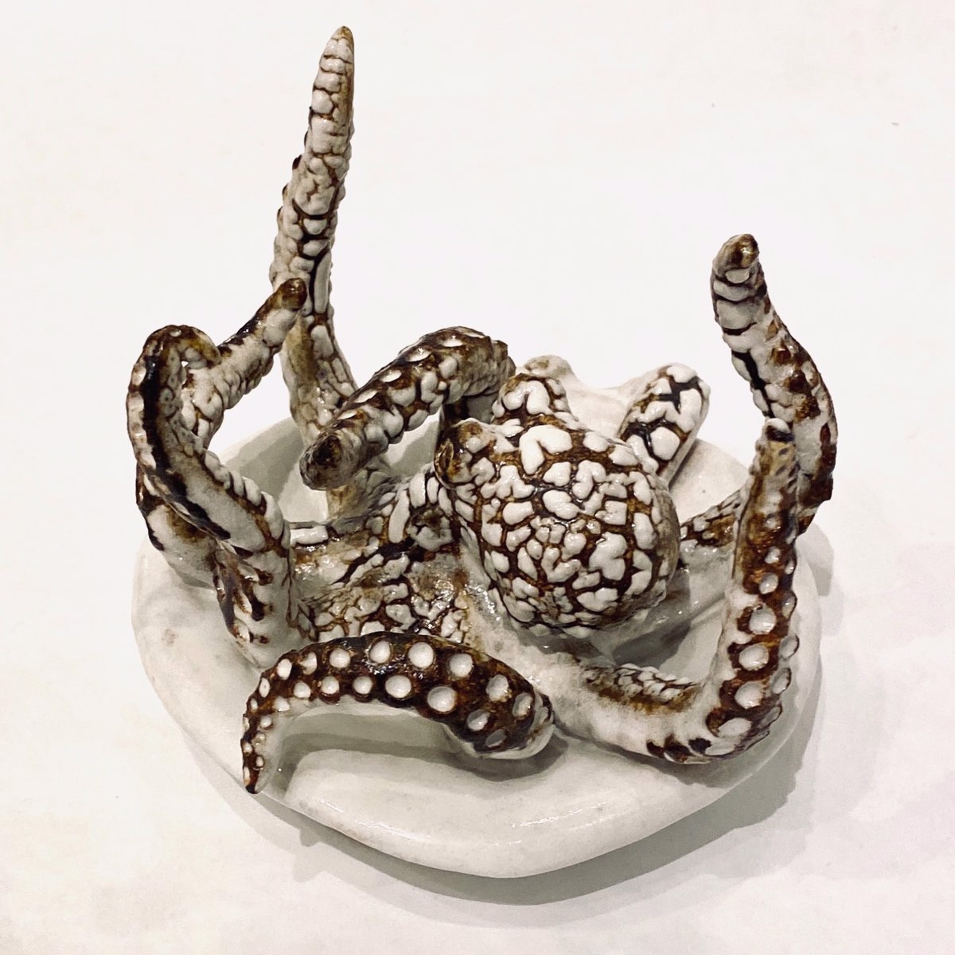 Mini Octopus Jewelry Dish by Shayne Greco