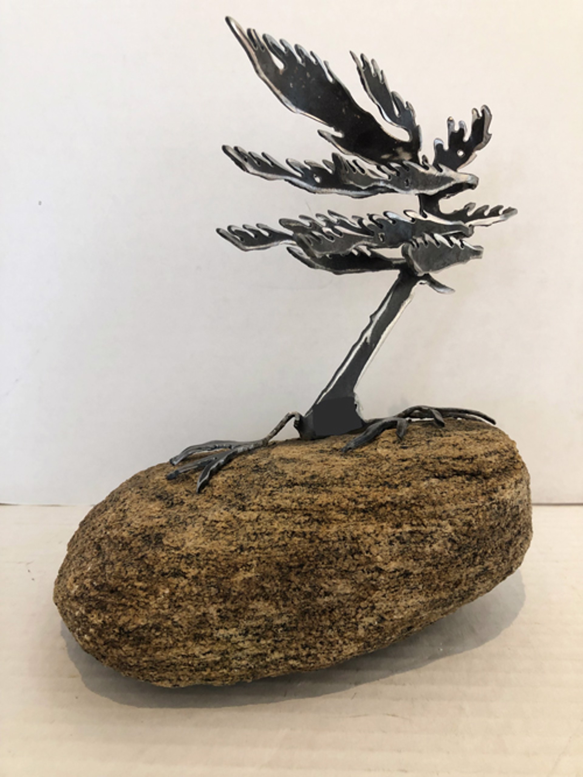 Windswept Pine _4 659465 by Cathy Mark