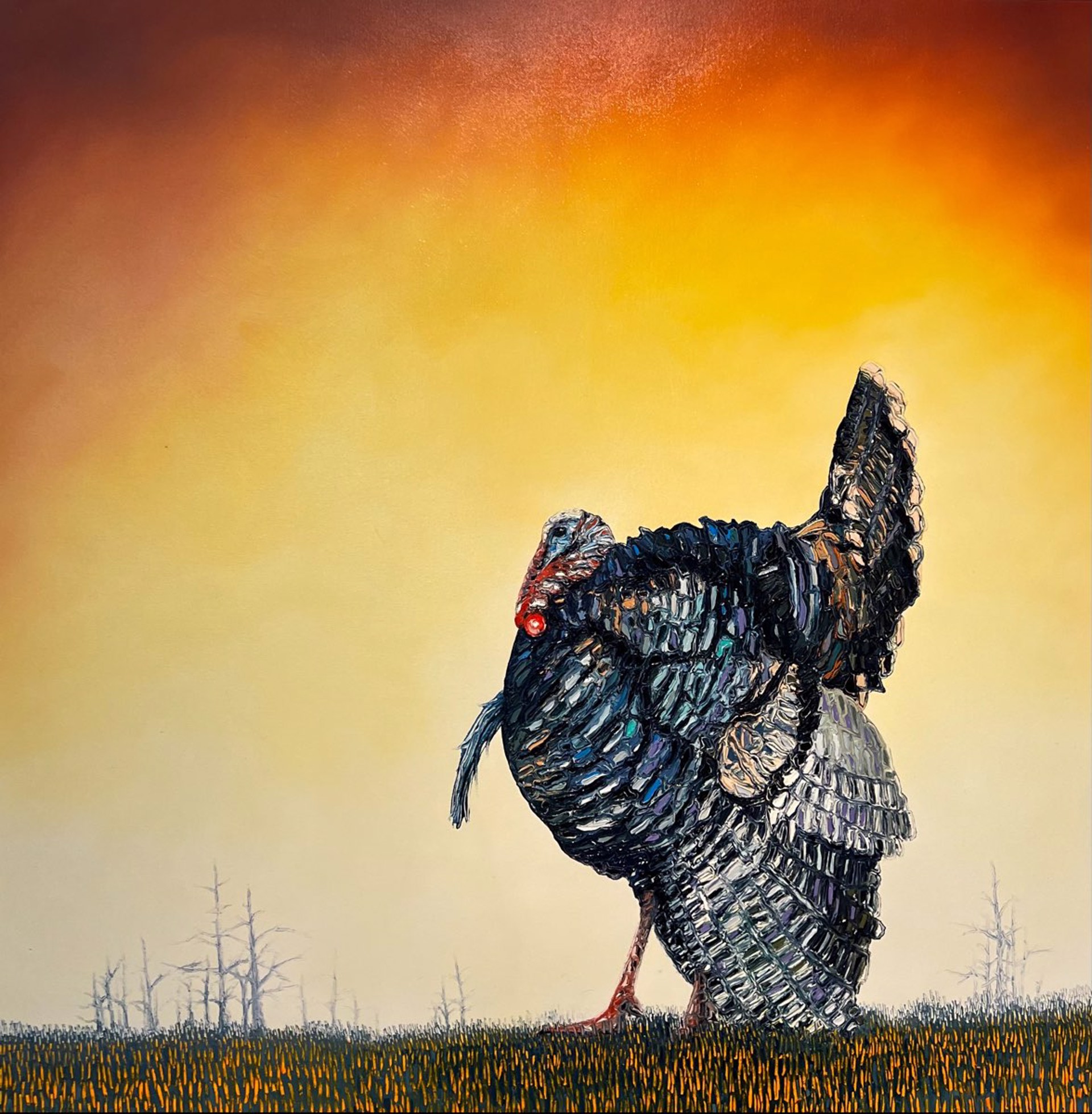 Turkey by Bradley Gordon