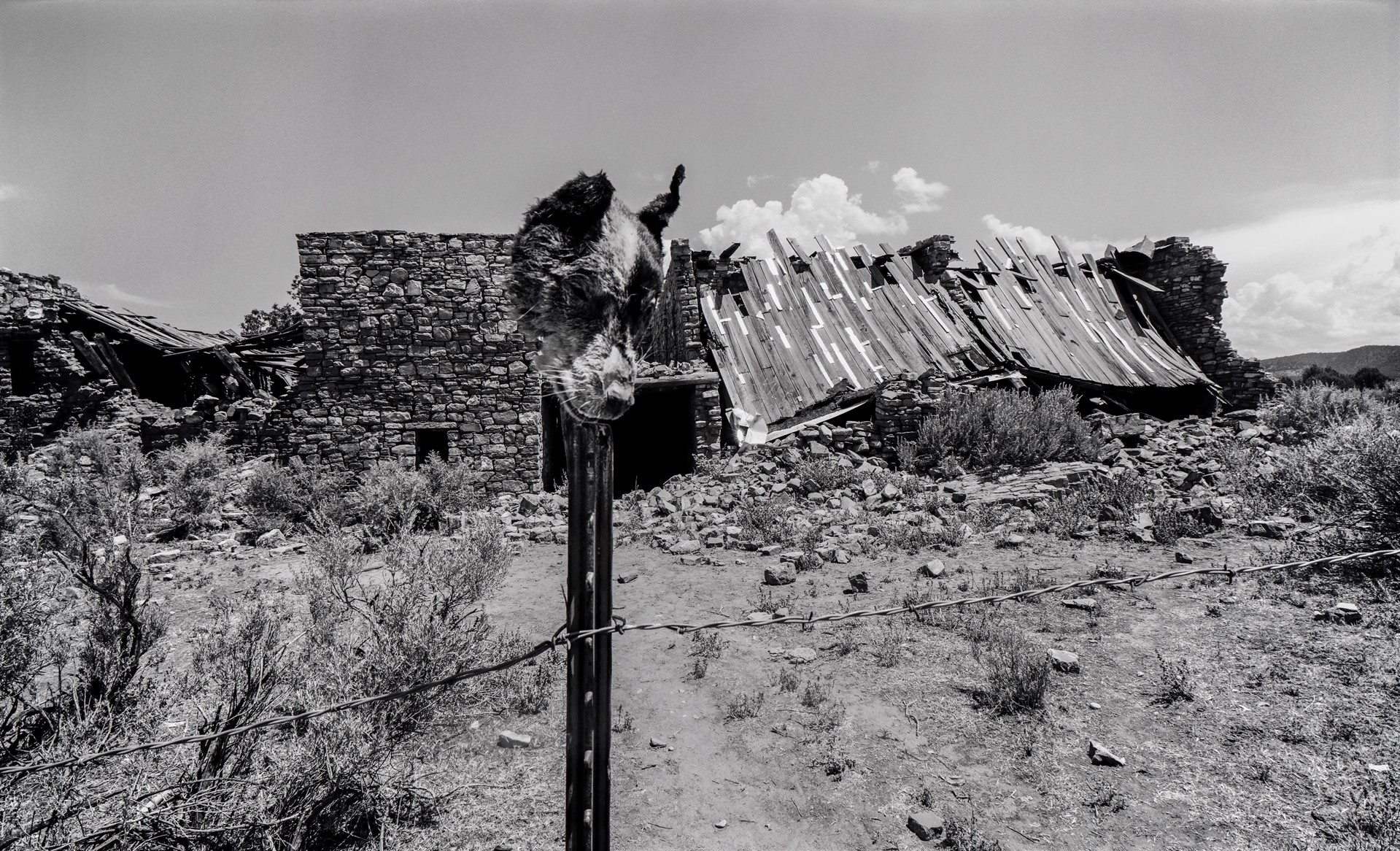 Guardian of Kinishba Ruins, Fort Apache Indian Reservation, Whiteriver, Arizona, 1984/2012 (Cultural Vestiges) by Lawrence McFarland