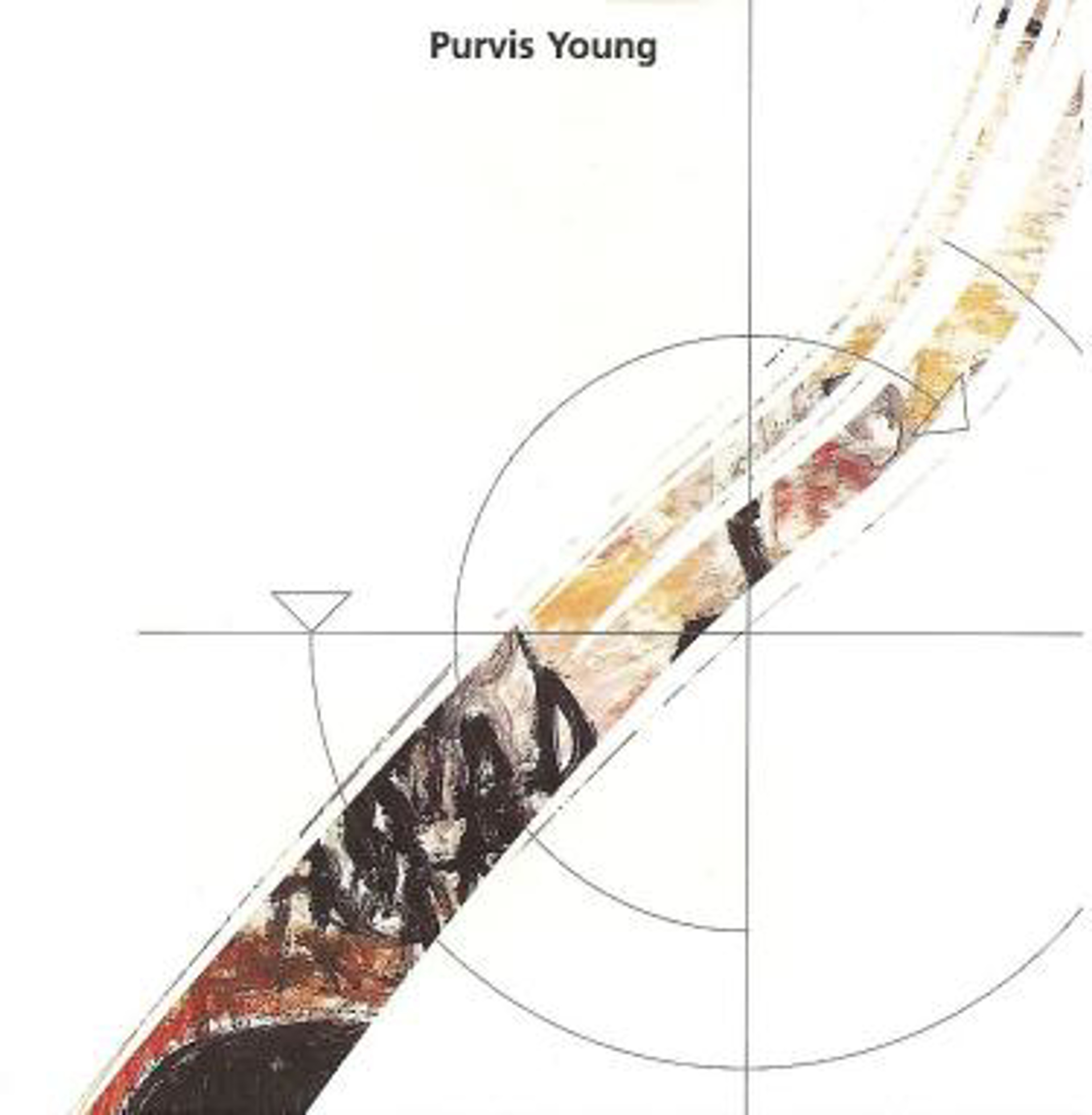 A Convergent Voyage: Studies in Duality by Purvis Young
