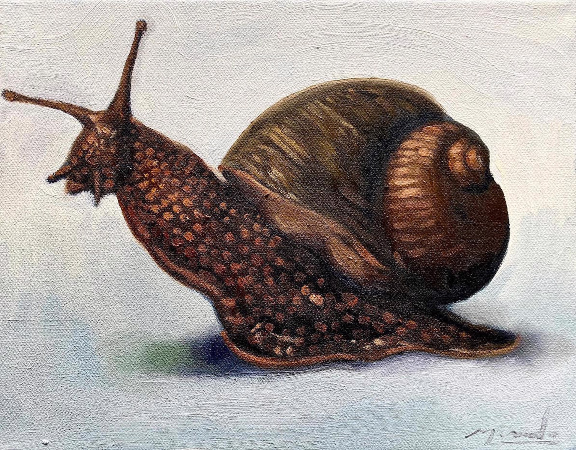 Golden Brown Snail by Gerardo Madrigal