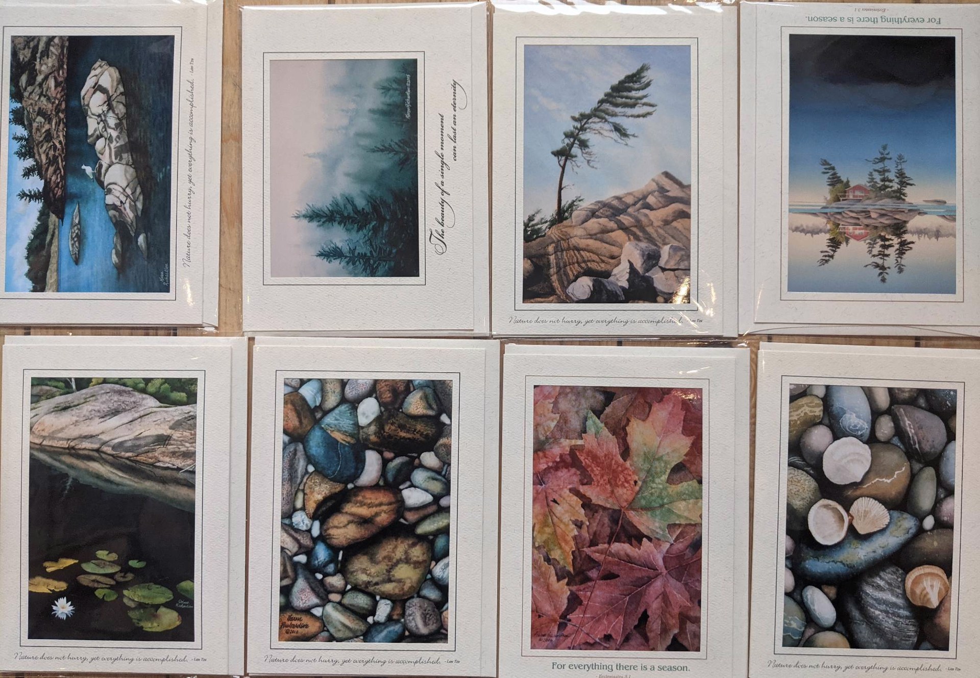 Art Cards with Envelope by Karen Richardson