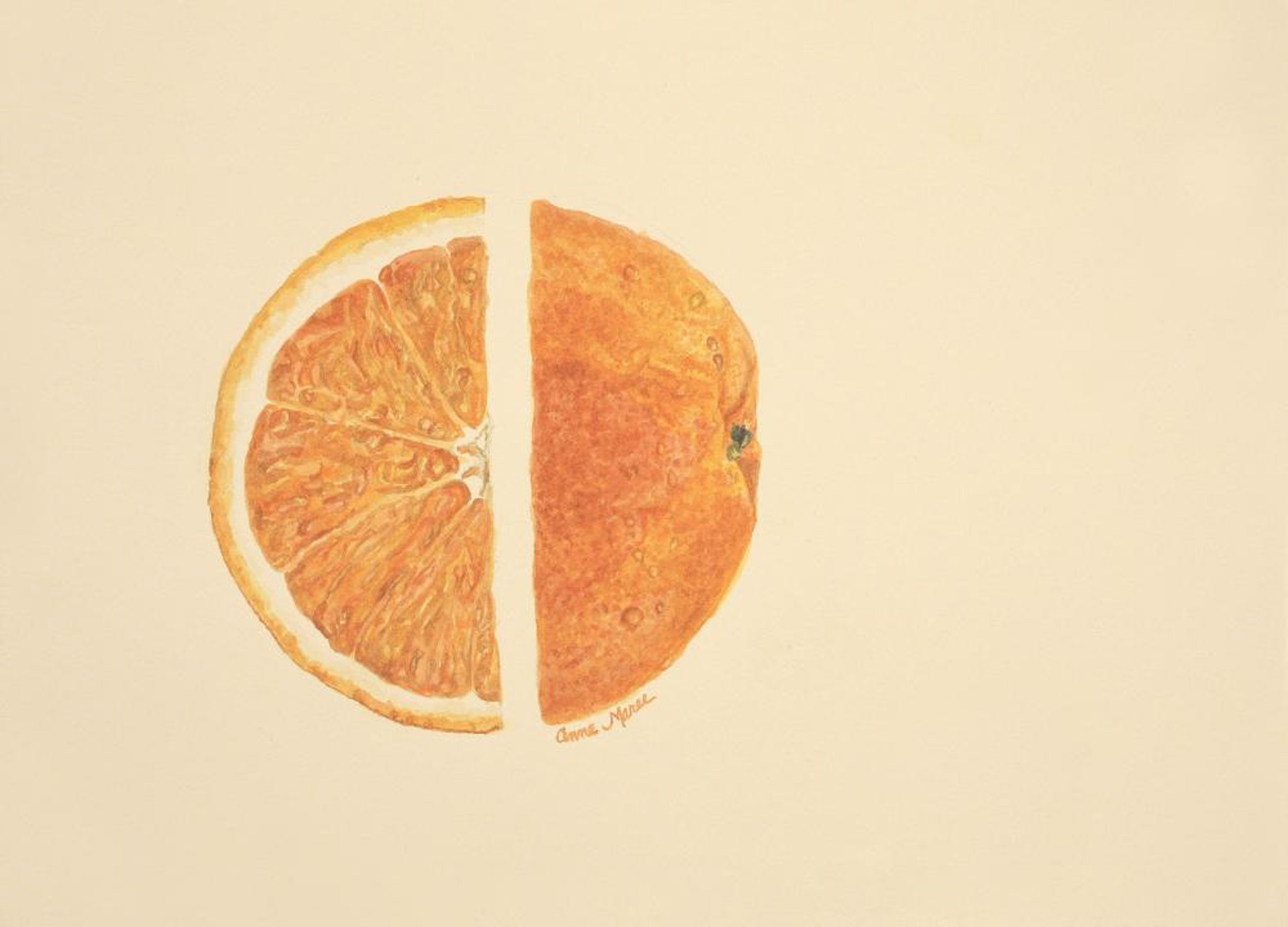 Orange by Anne Maree Lawrence