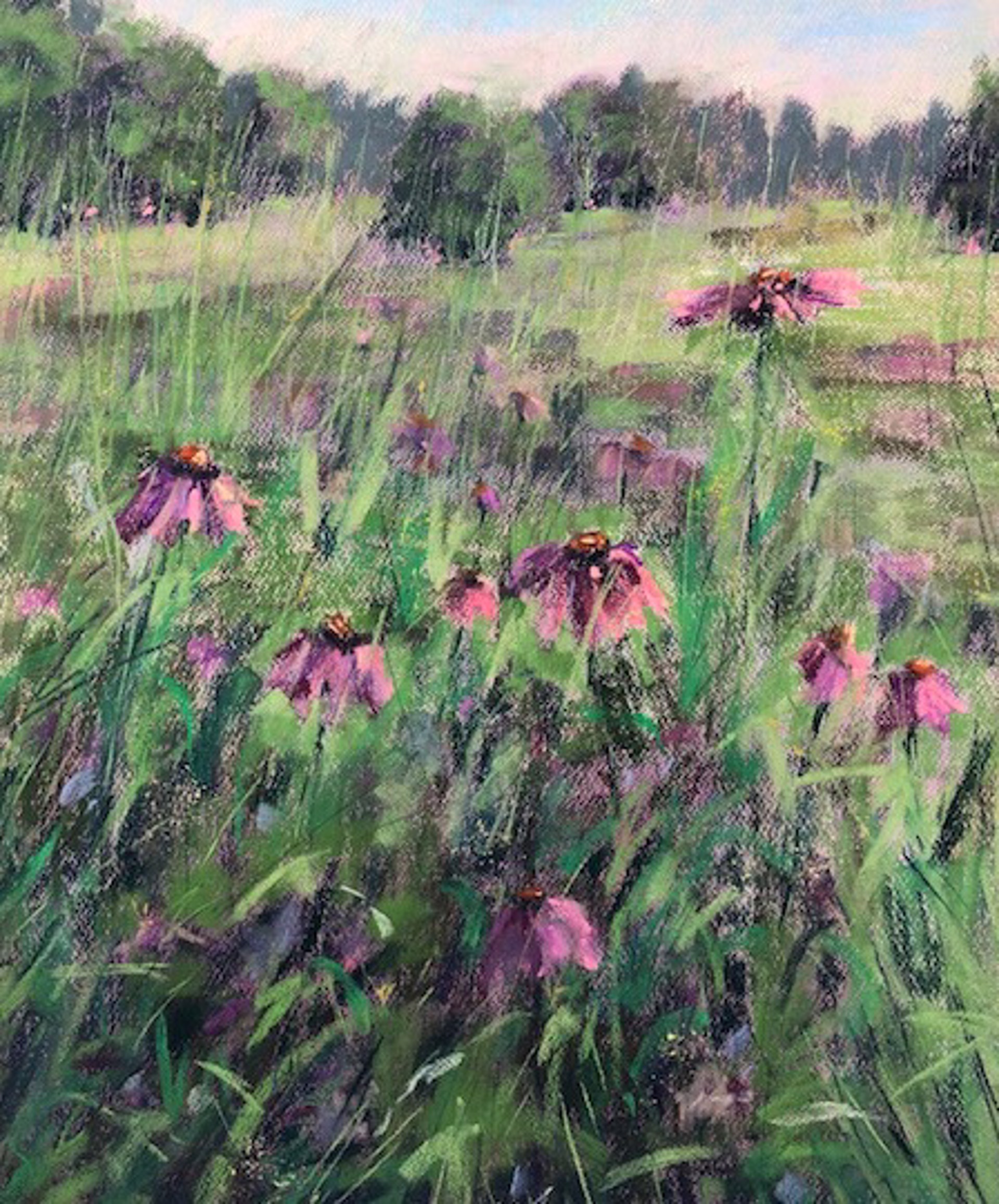 Pink Path by Carrie Ruddy