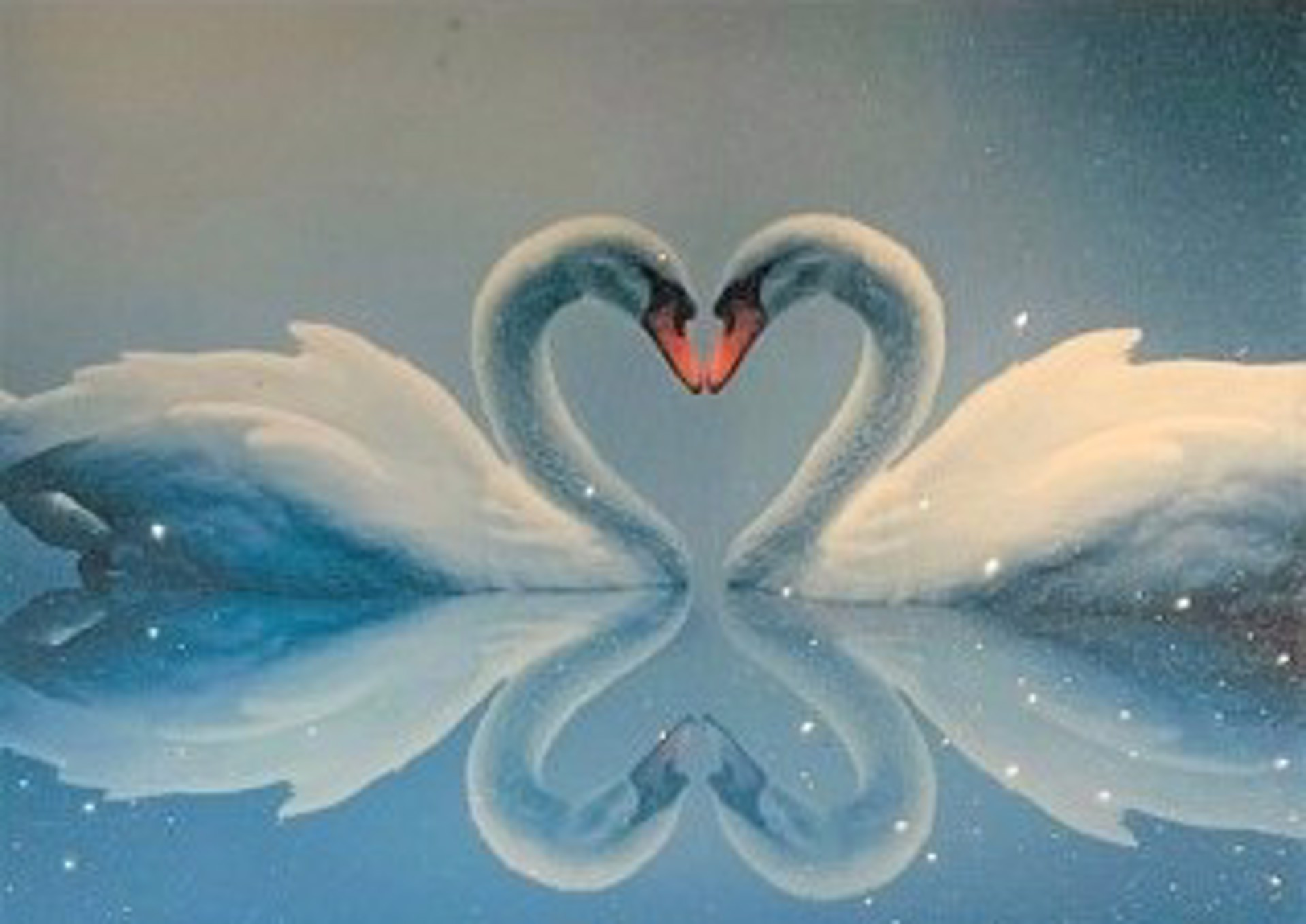 Love Swans by Kfir Moyal