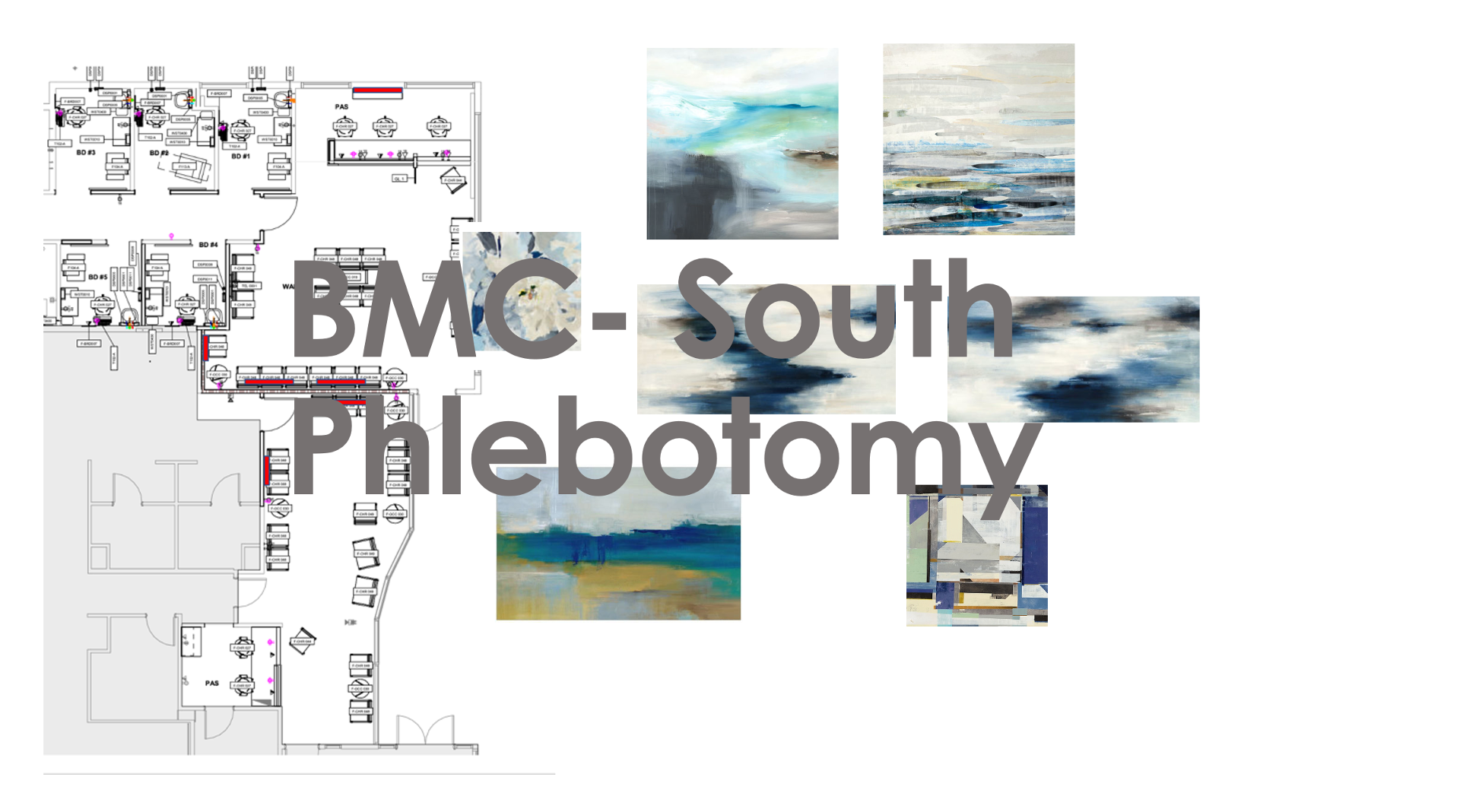 BMC- S Phlebotomy WR and rooms-6 canvas prints-5 bays=16 pieces total by Printwork