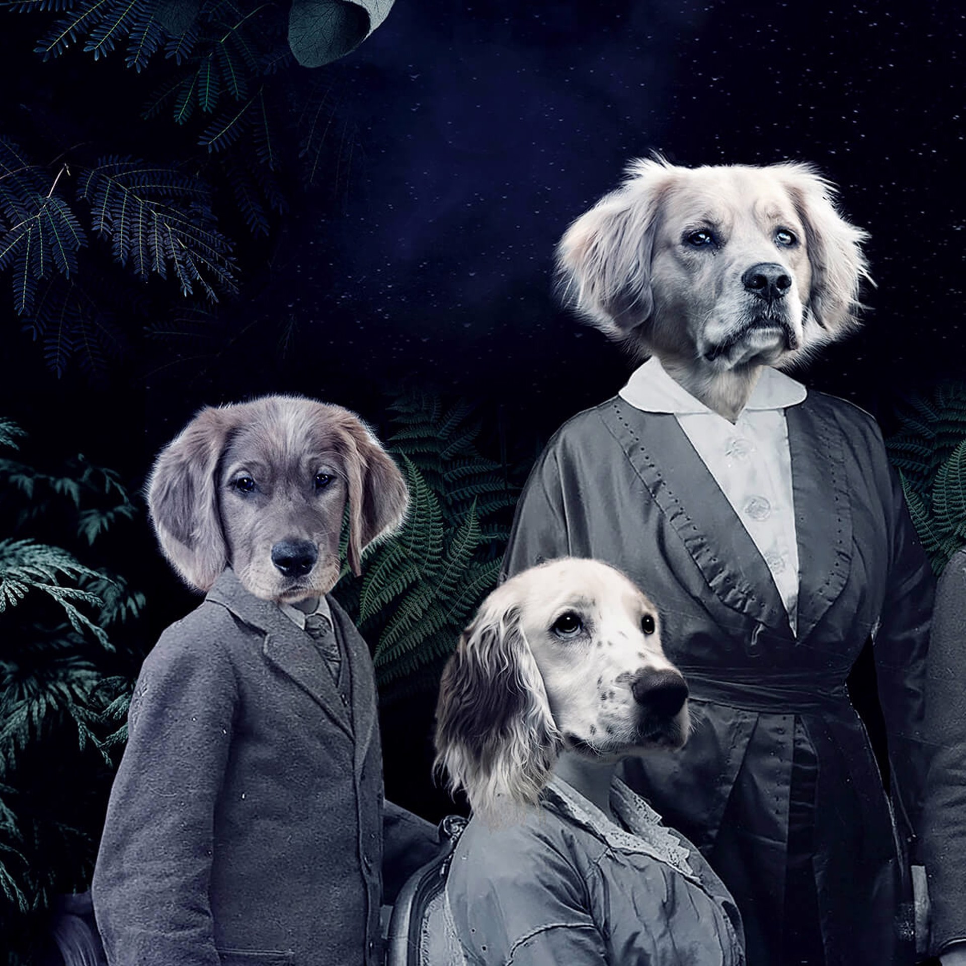 Never forget the Forest - Dogs by Marcin and Kate Owczarek