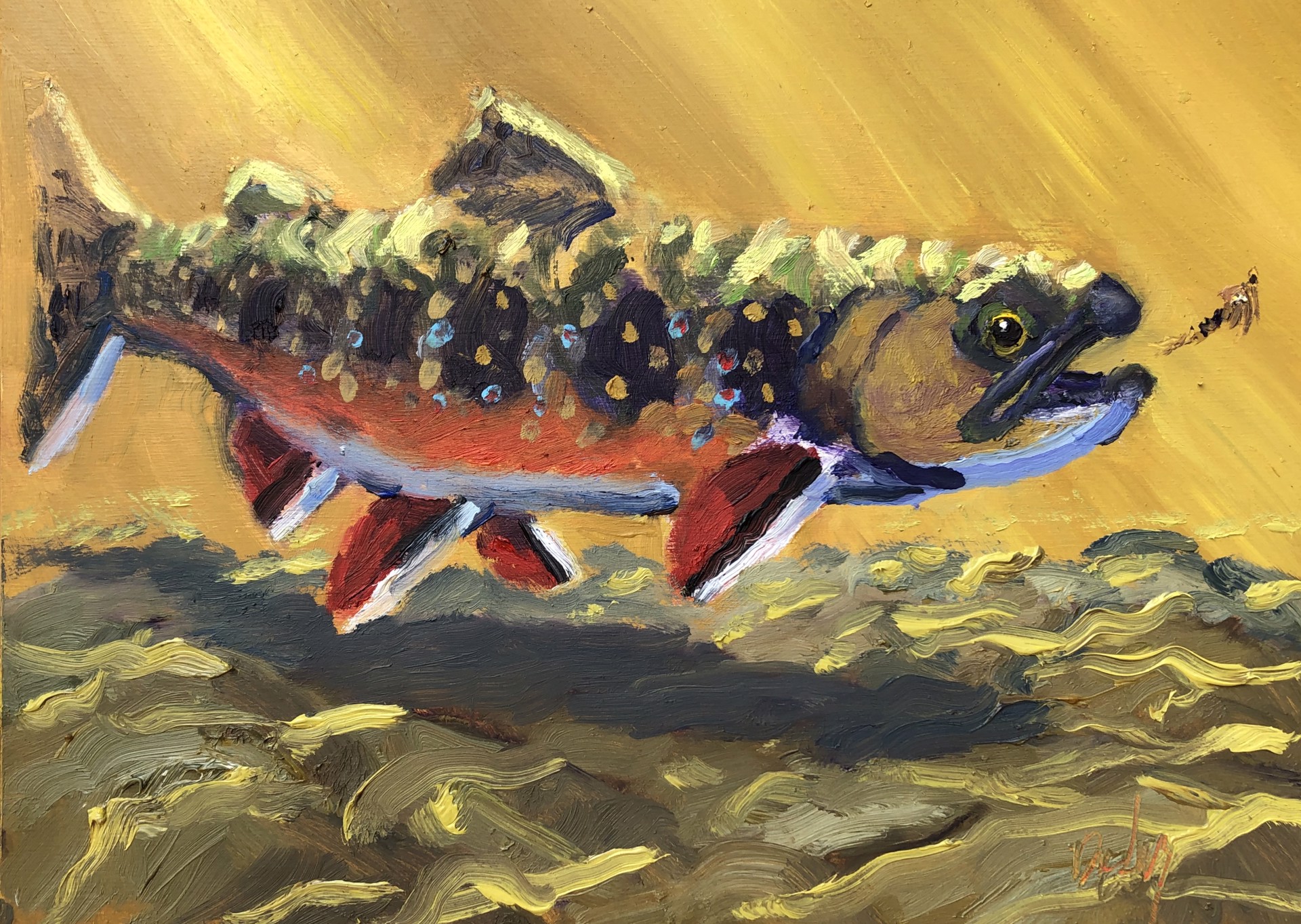 Brook Trout by Dan Daly