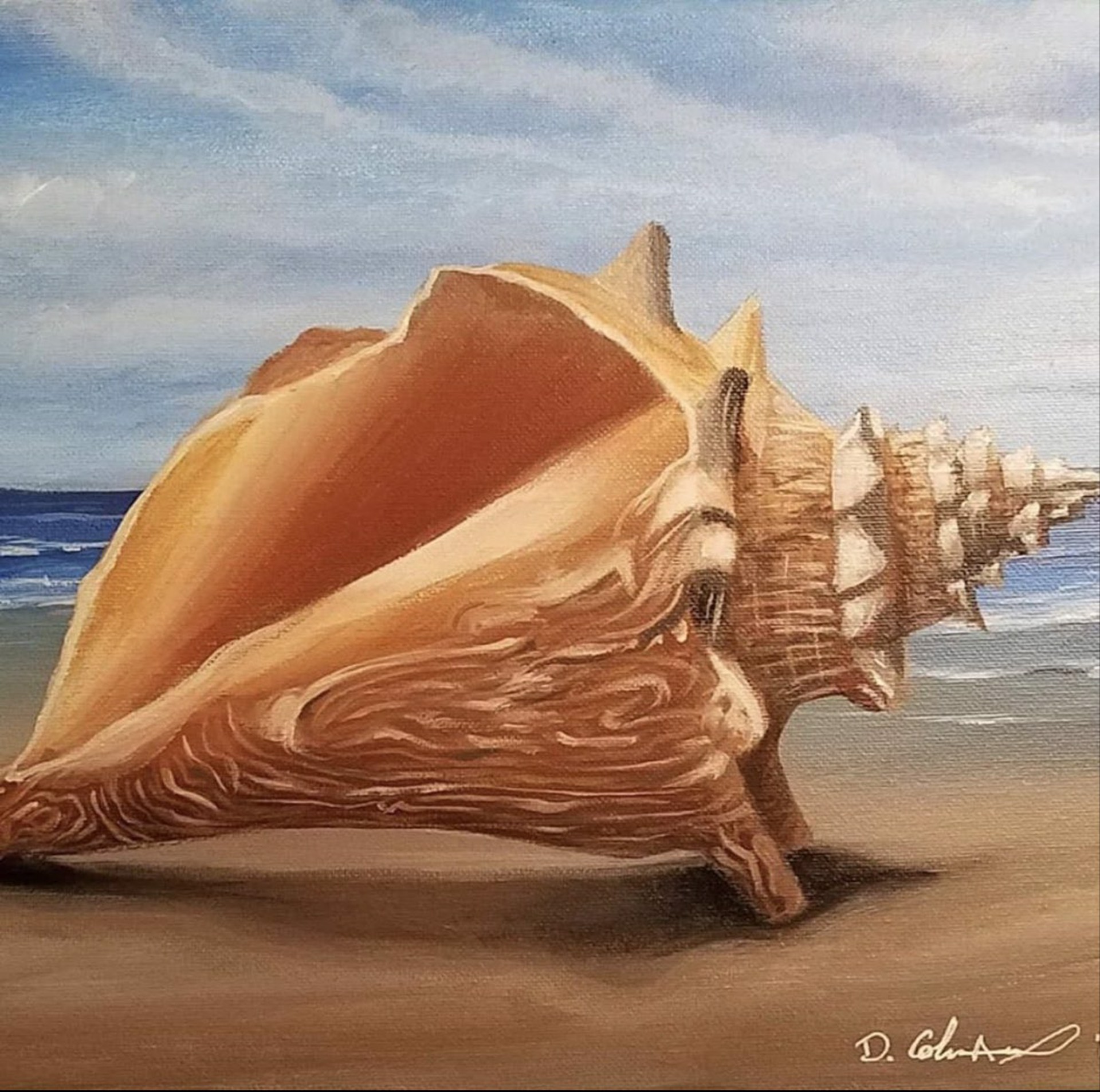 Charleston Conch by Dana Coleman