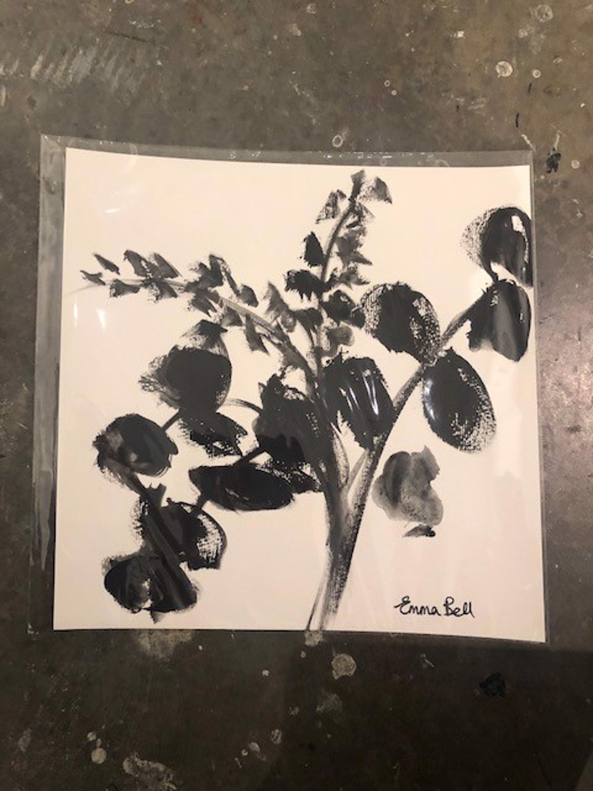 Black & White Eucalyptus 1 by Emma Bell