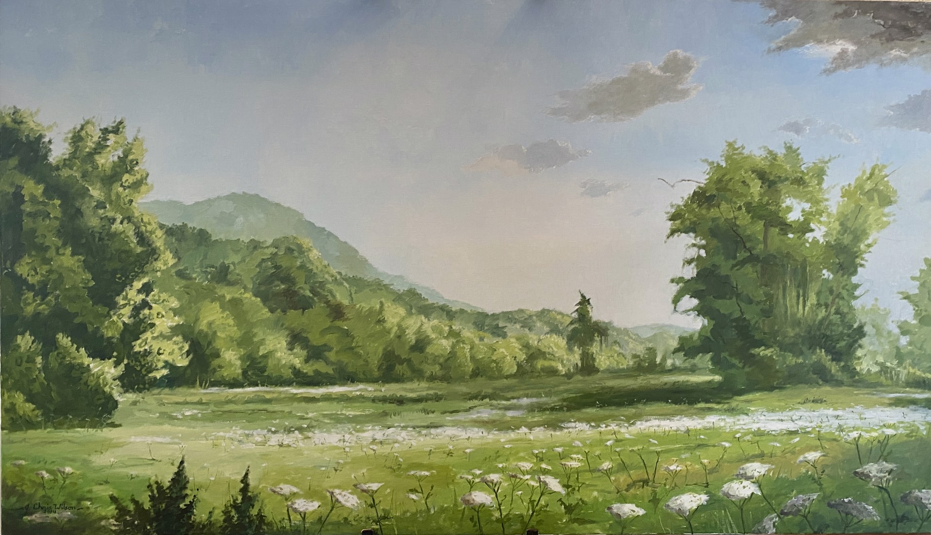 Summer Meadow on Cane Creek by J. Chris Wilson