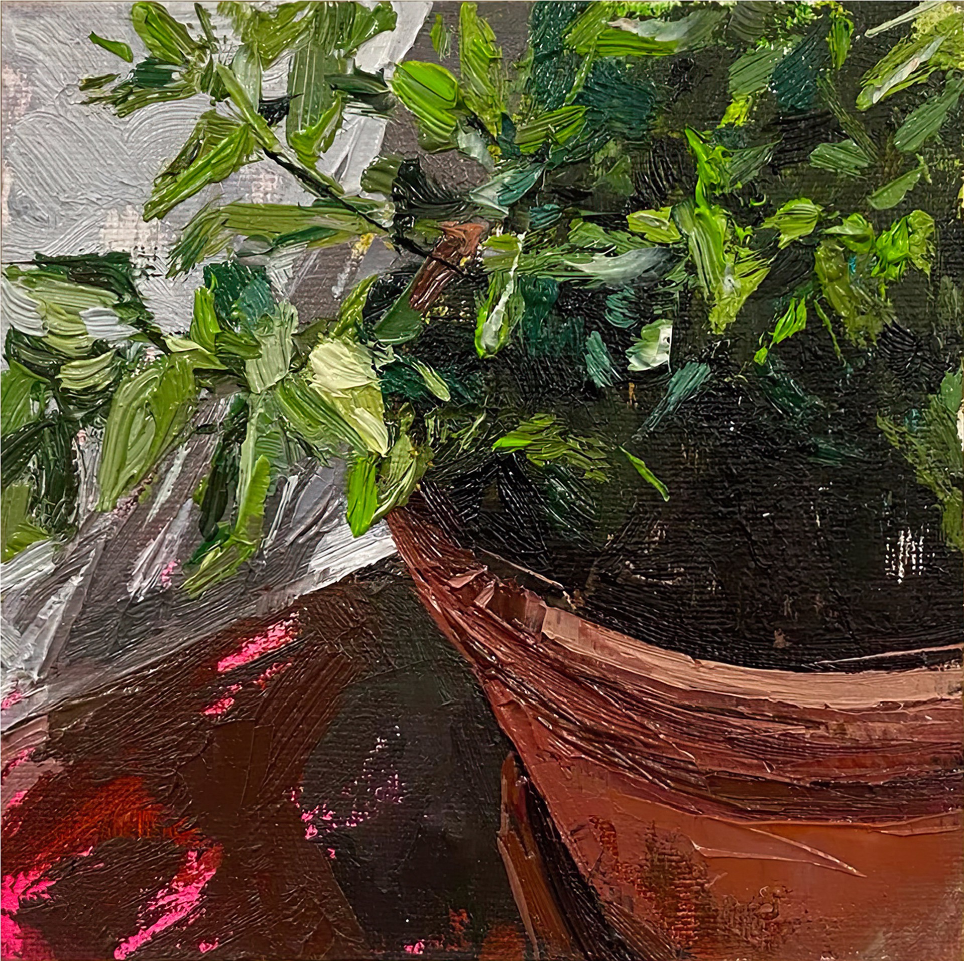 Pot Plants 2 by Conrado López