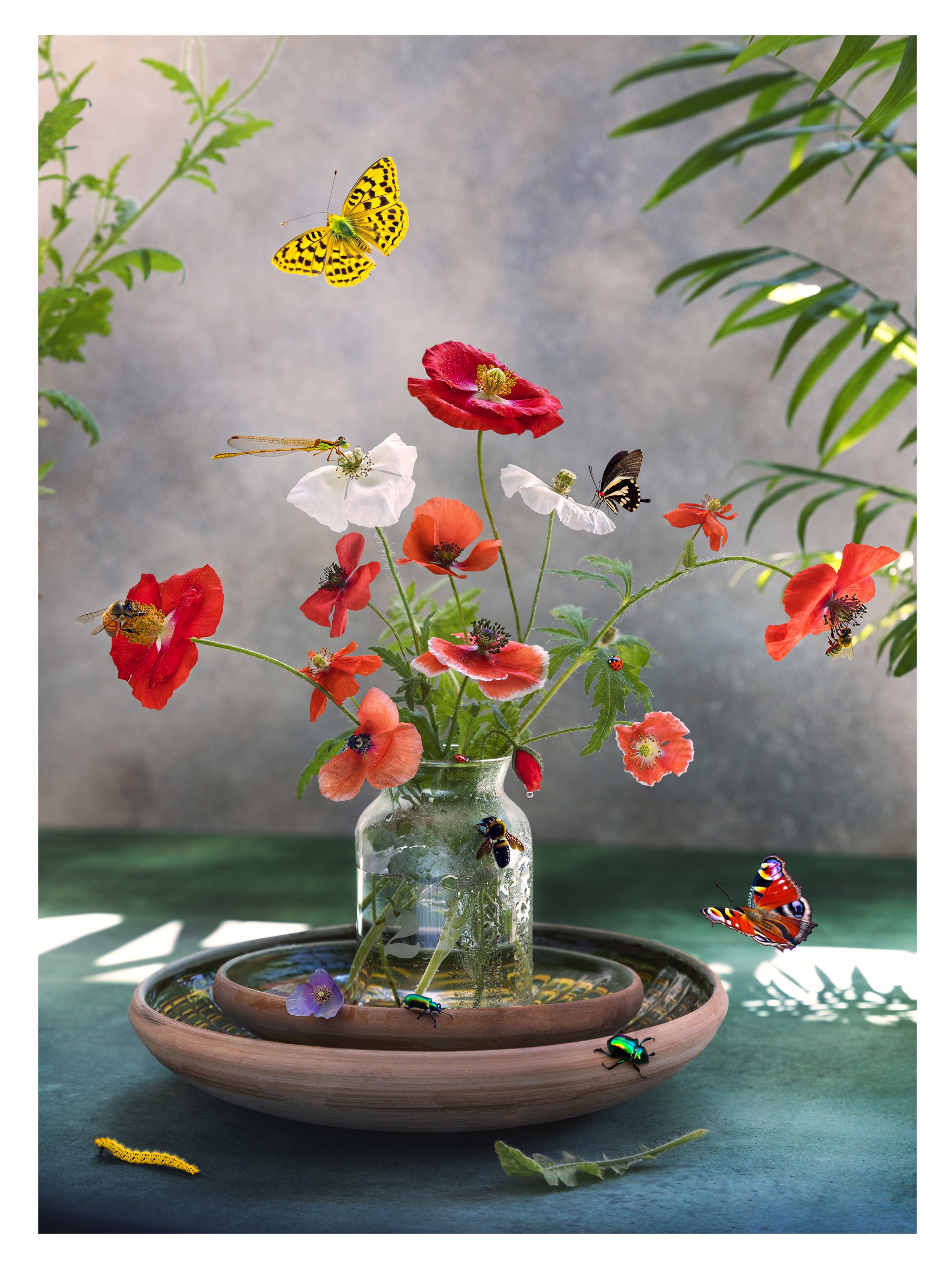 Still-life with poppies by Gabriela Iancu