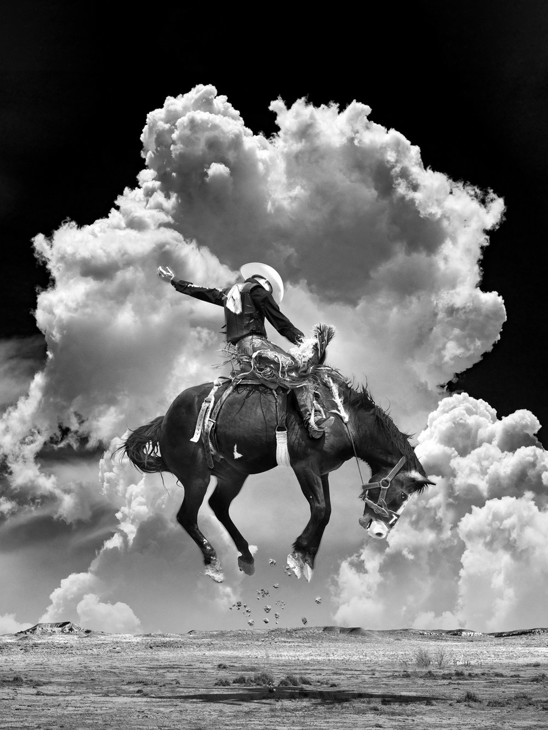 Zeke B&W (Frameless) by Steve Wrubel