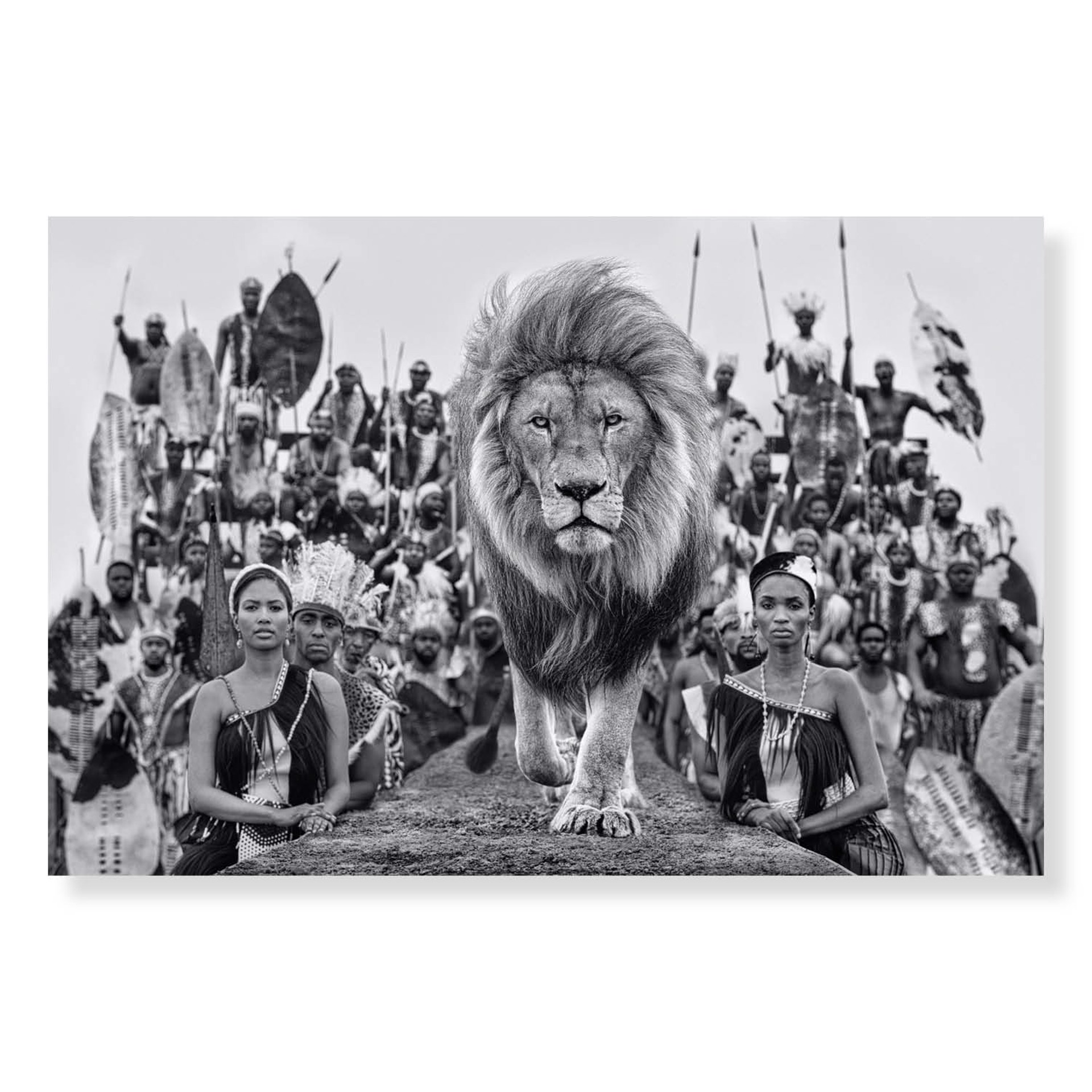 Catwalk by David Yarrow