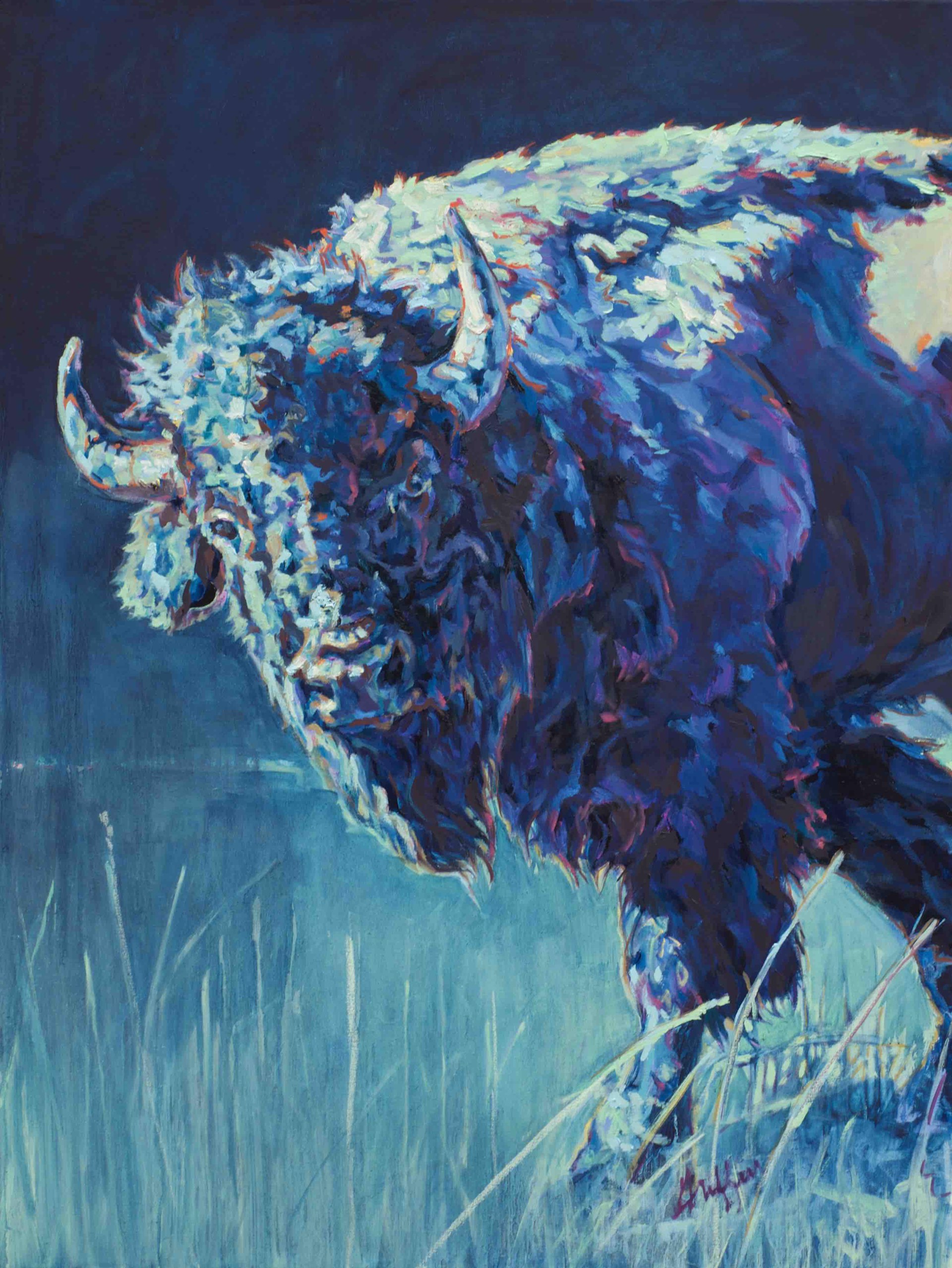 Bull Bison Walking With Strong Shadow In Moon Light By Patricia A Griffin at Gallery Wild