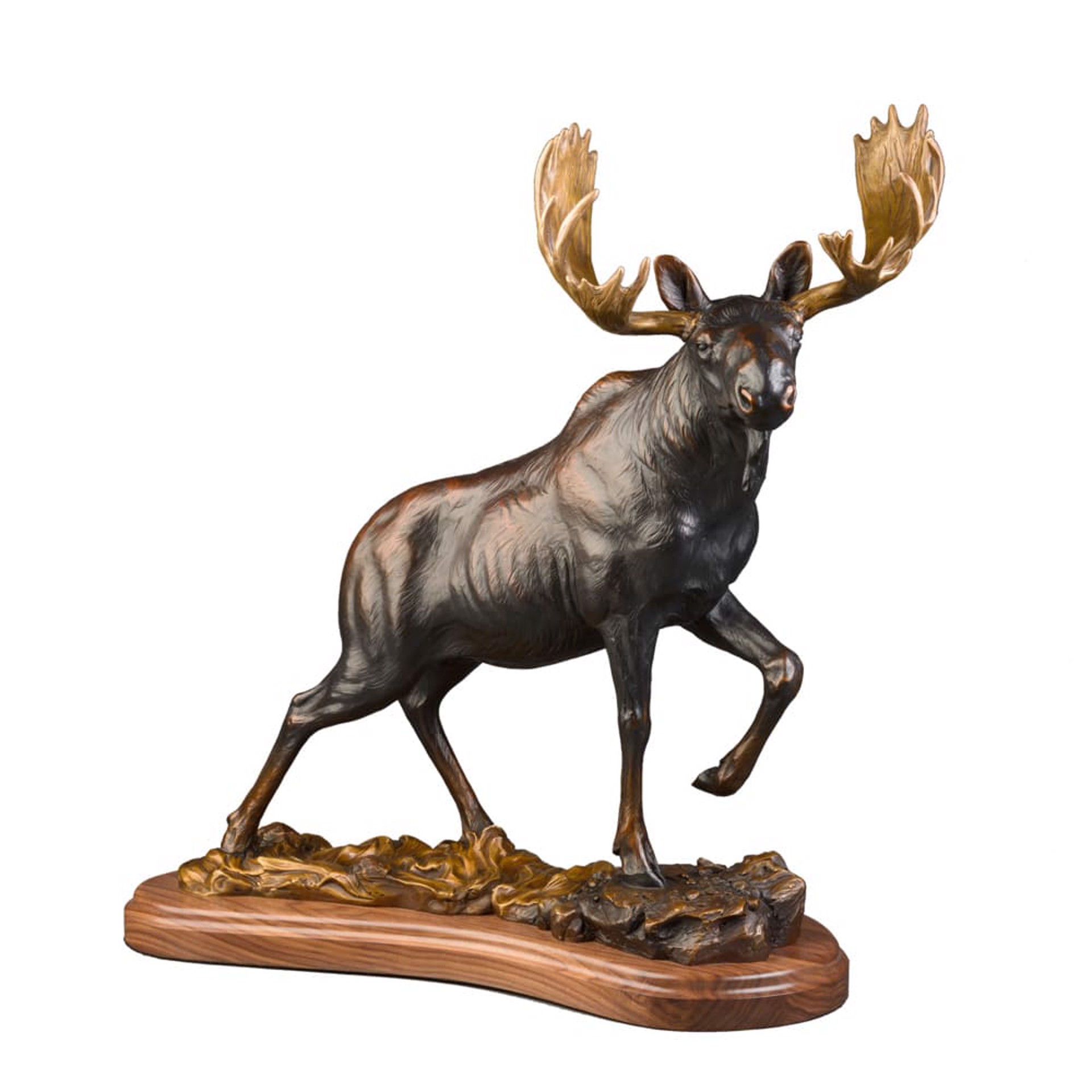 A Bronze Of A Bull Moose Available At Gallery Wild