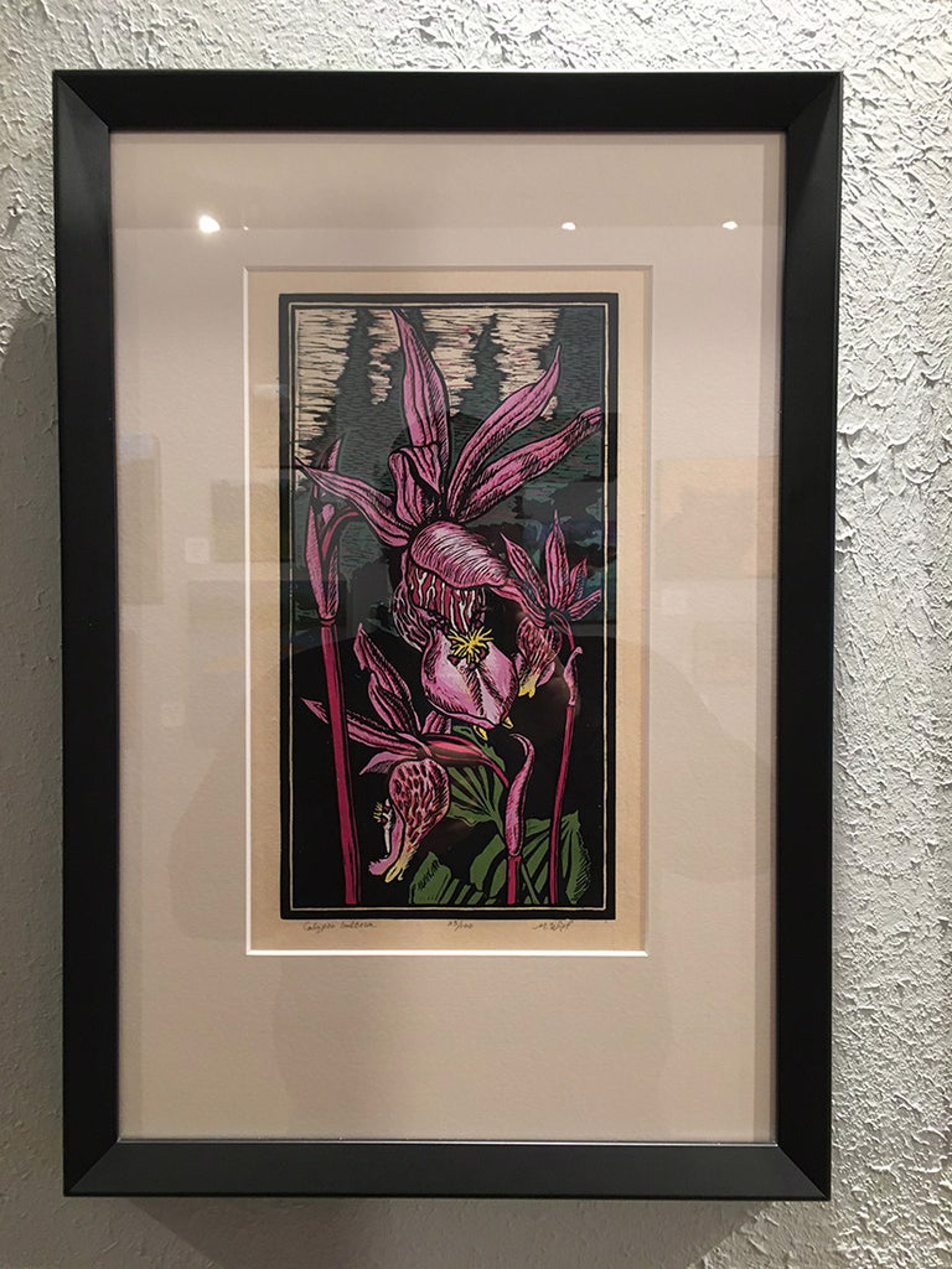 Calypso Bulbosa by Mary Wipf