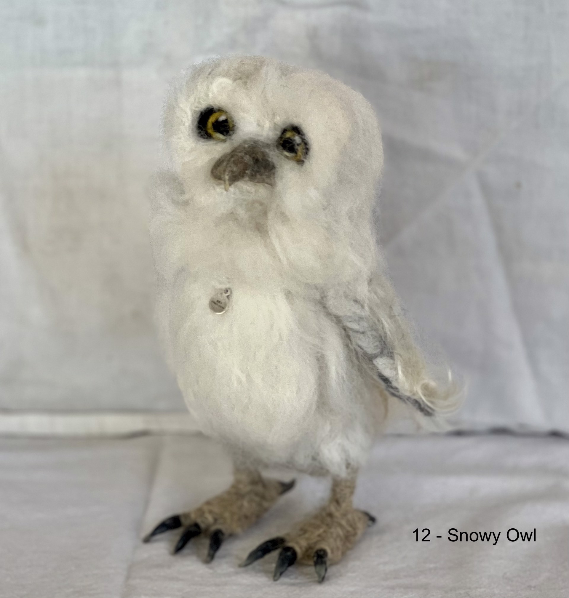 Snowy Owl by Barb Ottum
