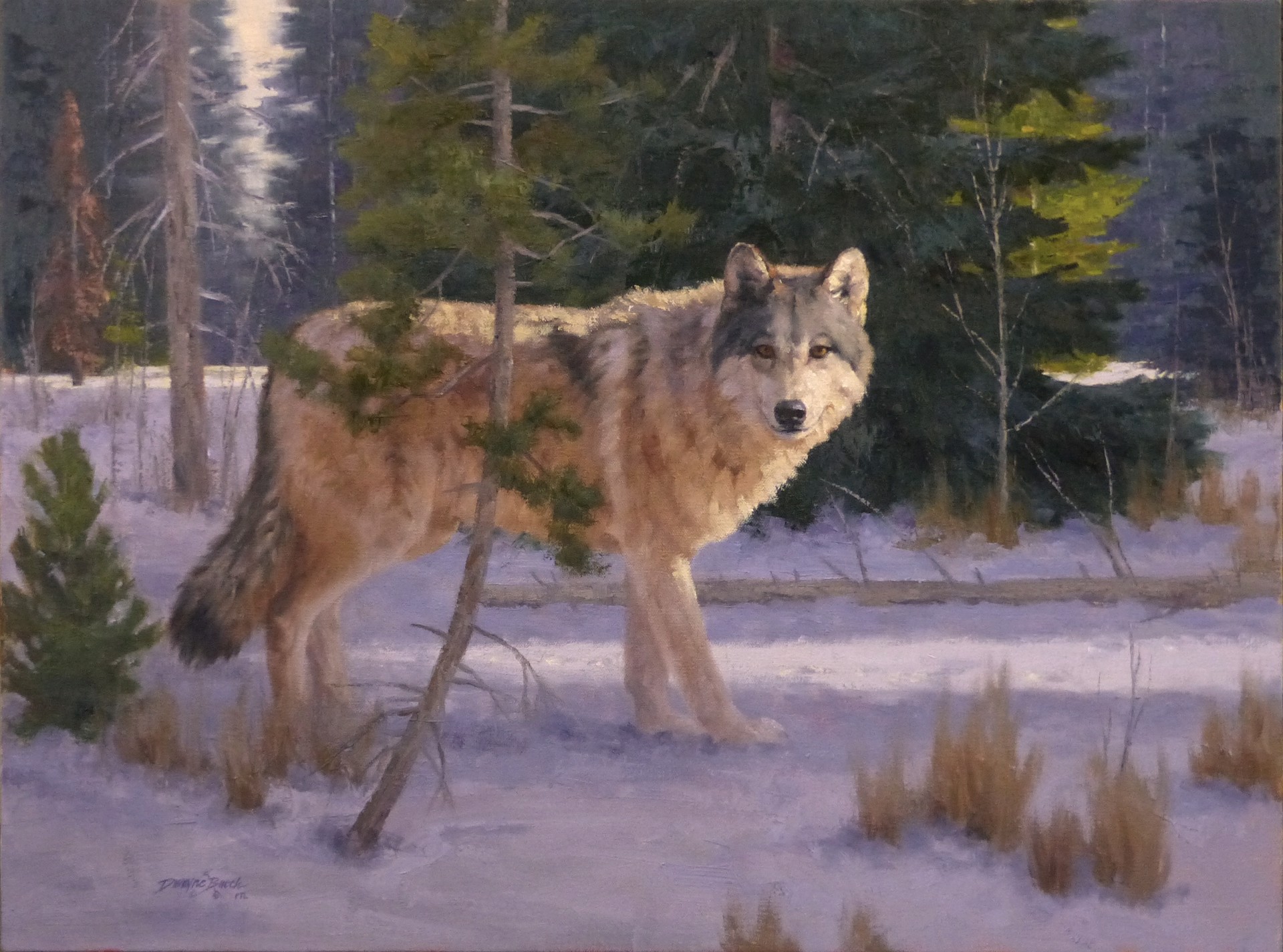 Silent Hunter by Dwayne Brech