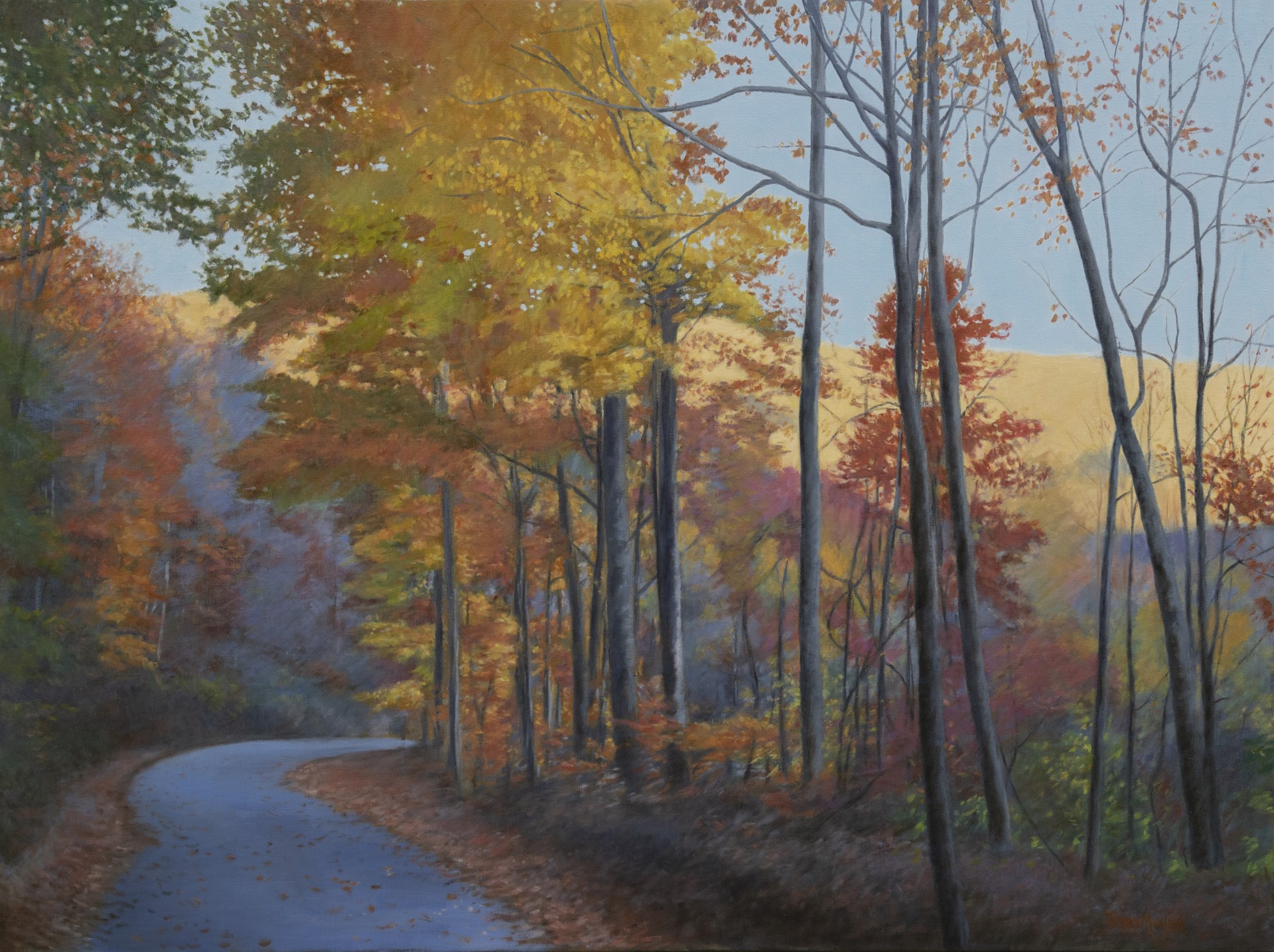 Road to the Valley # 3 by Terry Moeller