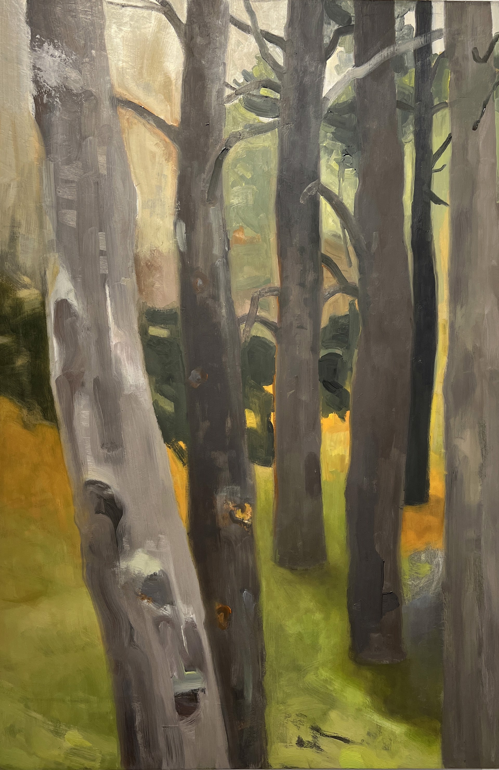 Pine Autumn by Lucy Clark