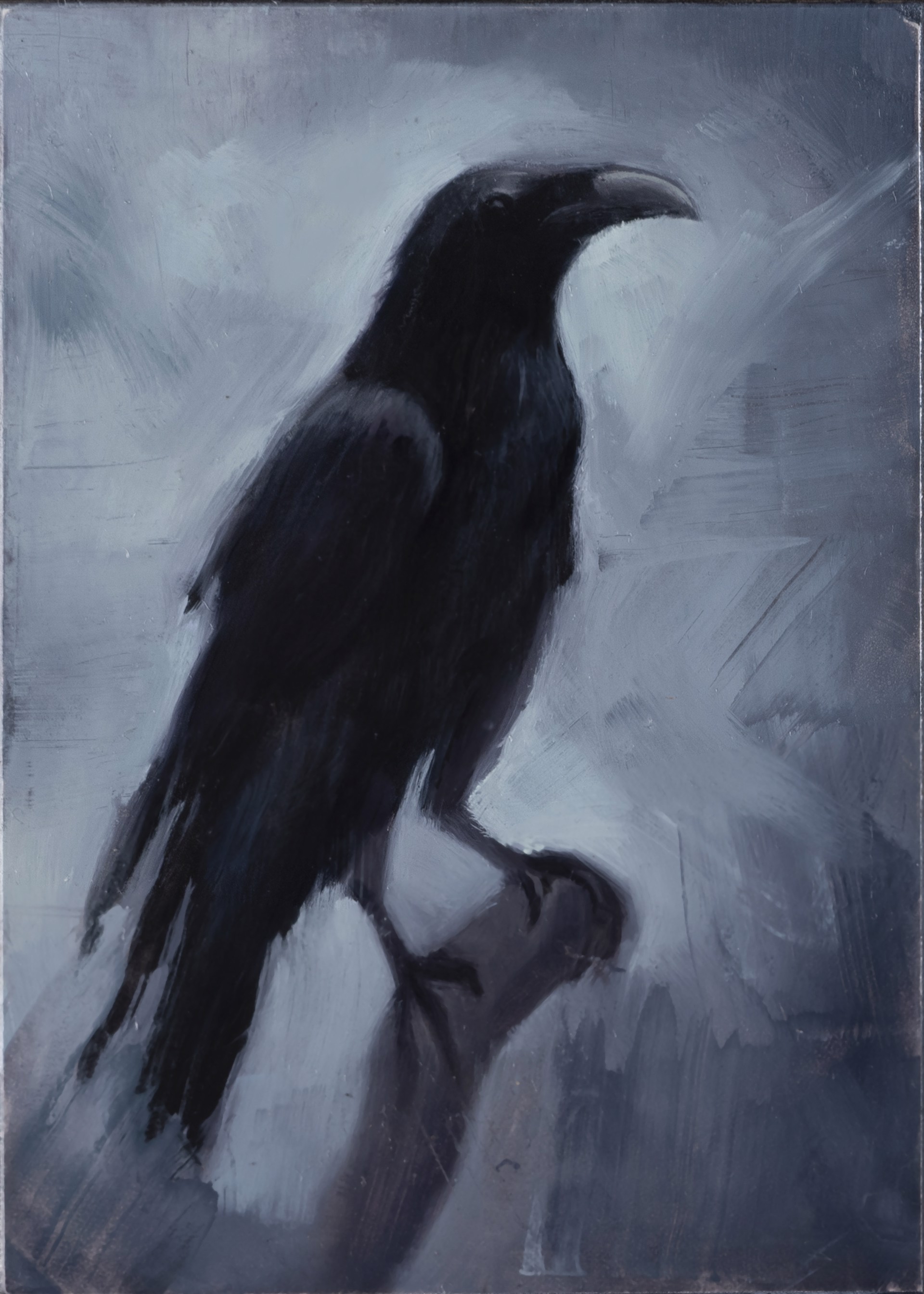 Crow by Ximena Rendon