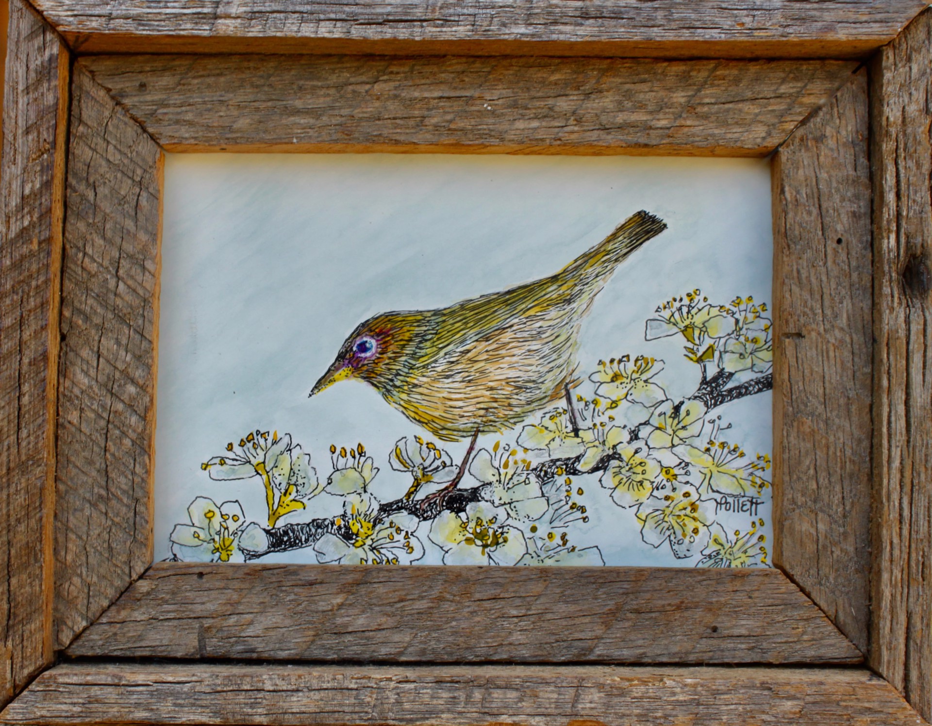 Spring Sparrow by Cynthia Jewell Pollett