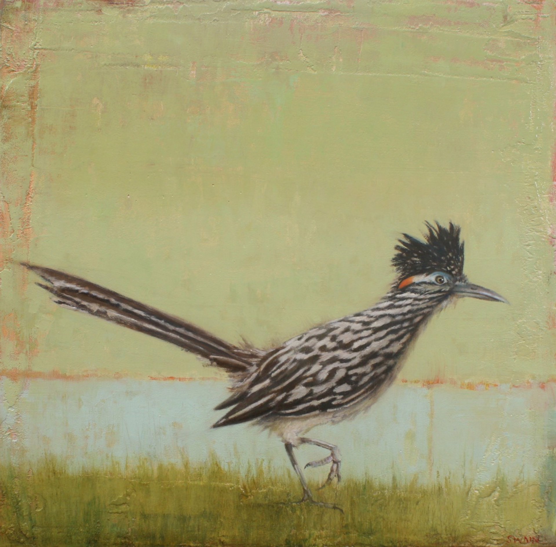 Roadrunner