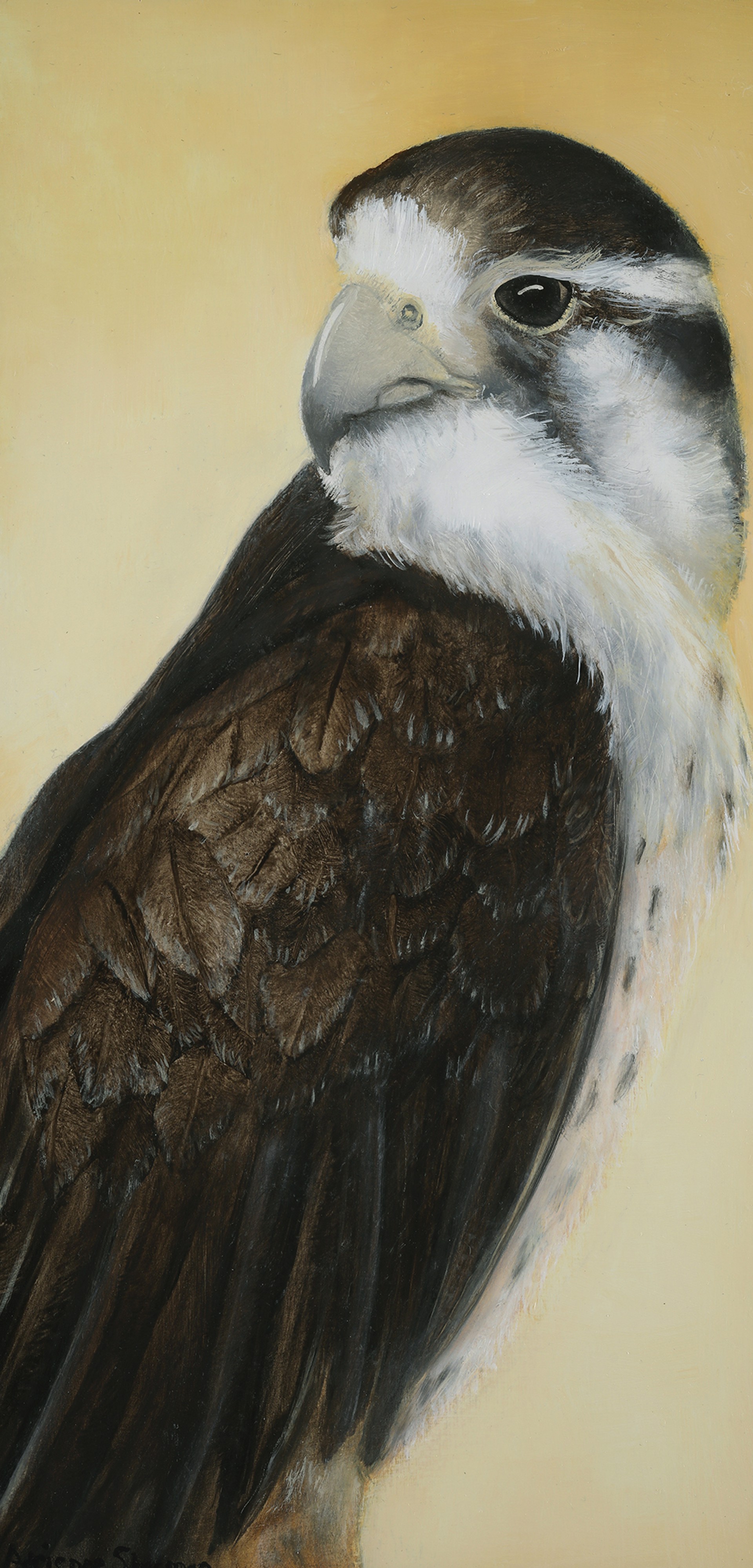 Saved, II: Peregrine Falcon (SOLD) by Adrienne Sherman