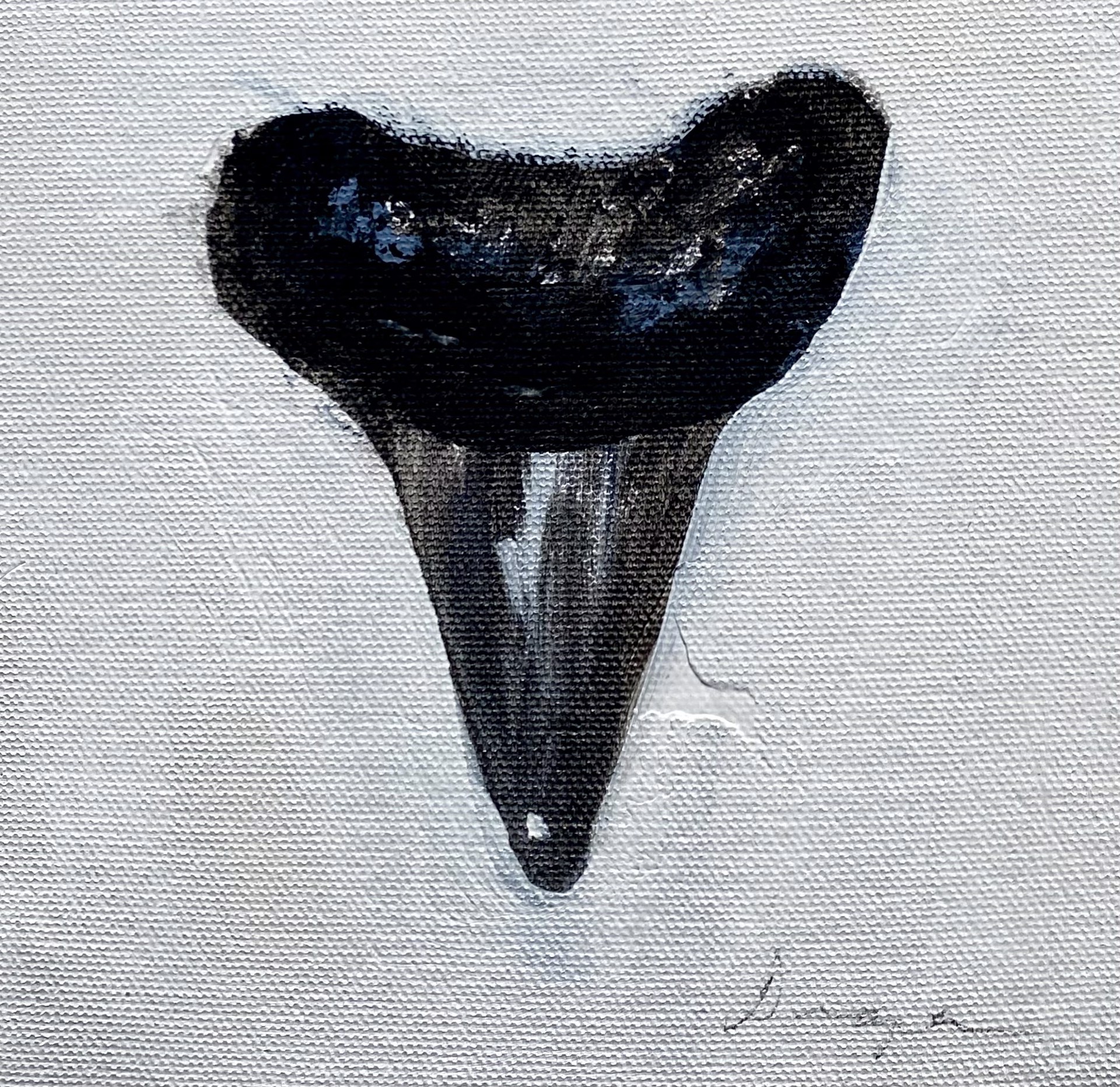 Mini Shark Tooth No. 15 by Jim Draper