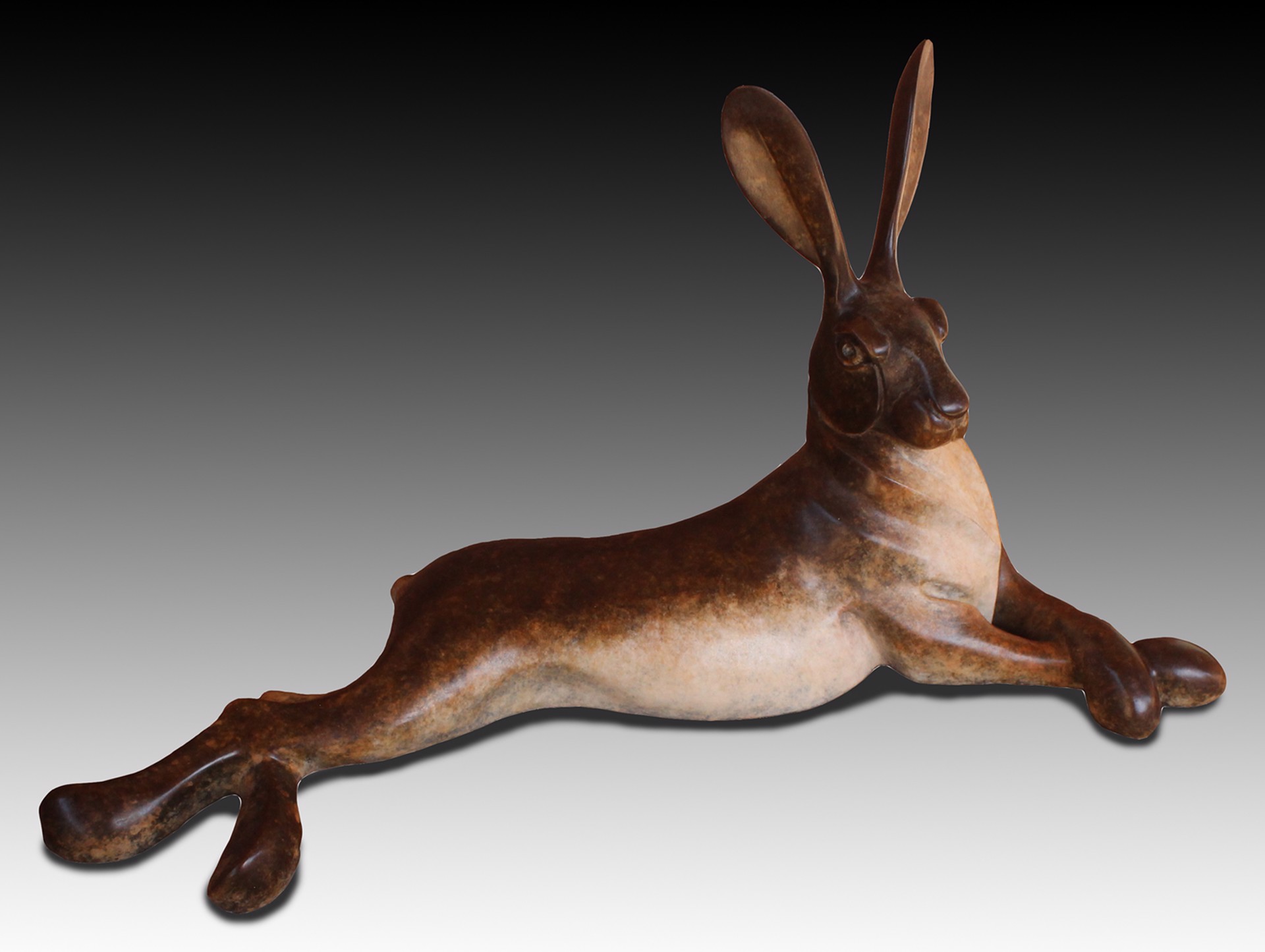 Lying Jack Rabbit by David Meredith