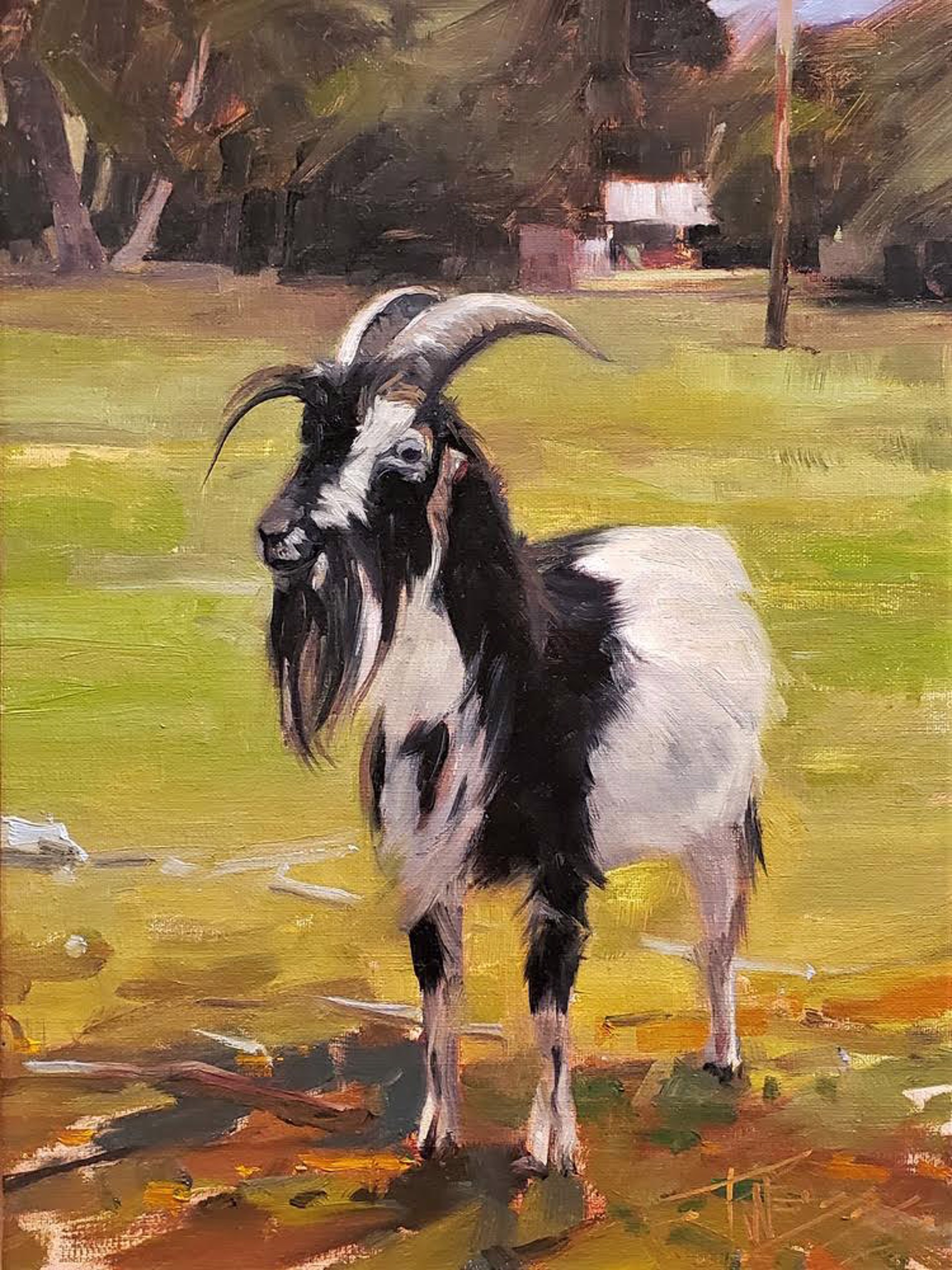 Old Goat by Robin Weiss