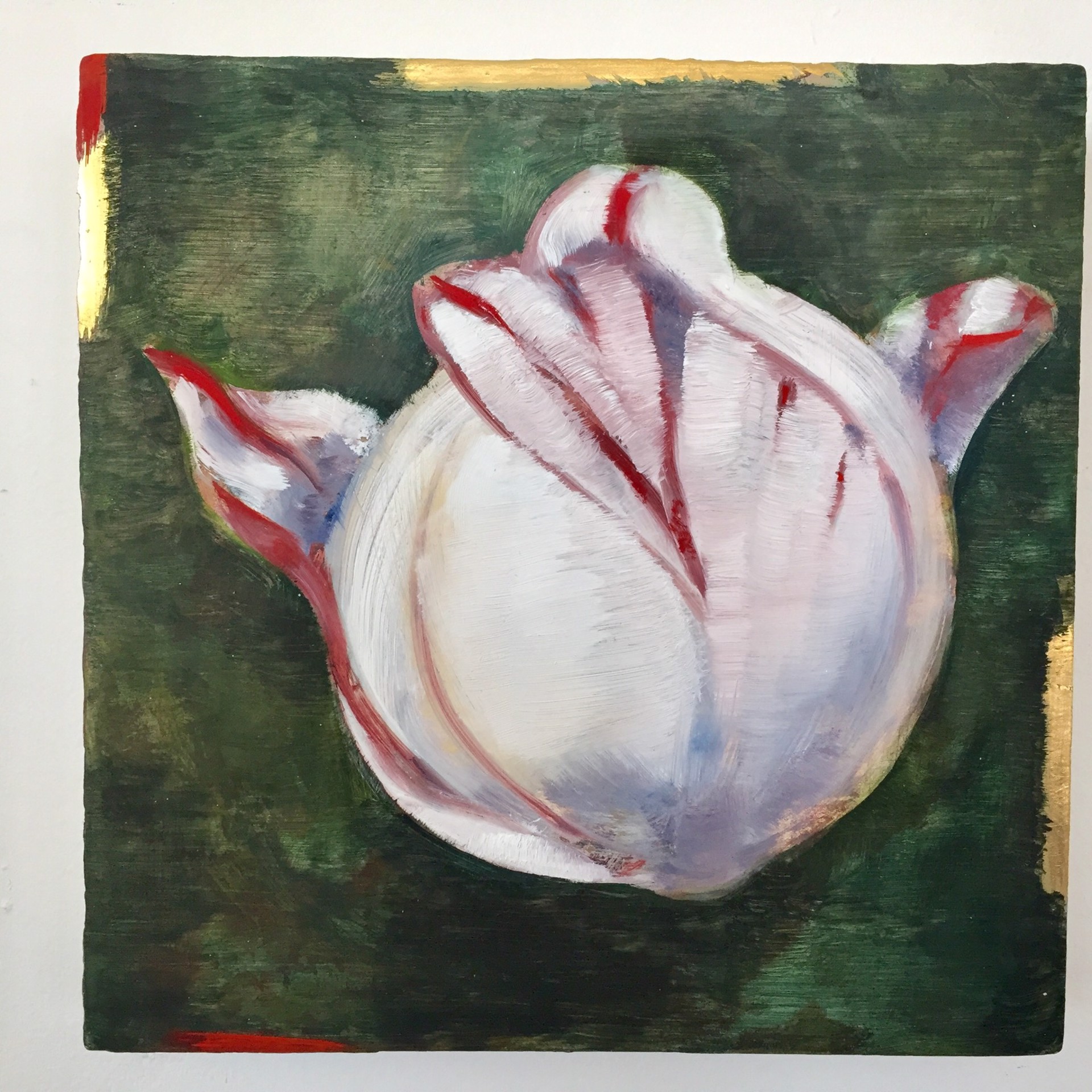 Tulip: by Stephanie Peek