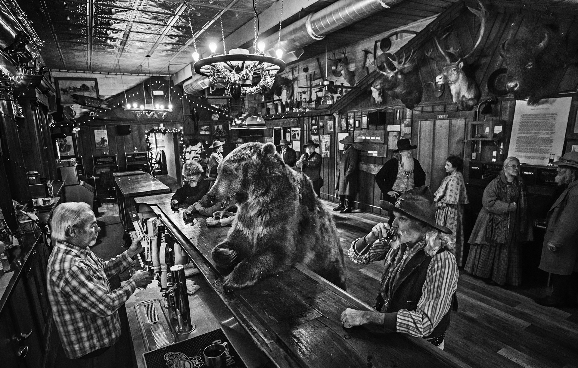 I've Got a Good One... A Bear Walks Into a Bar by David Yarrow