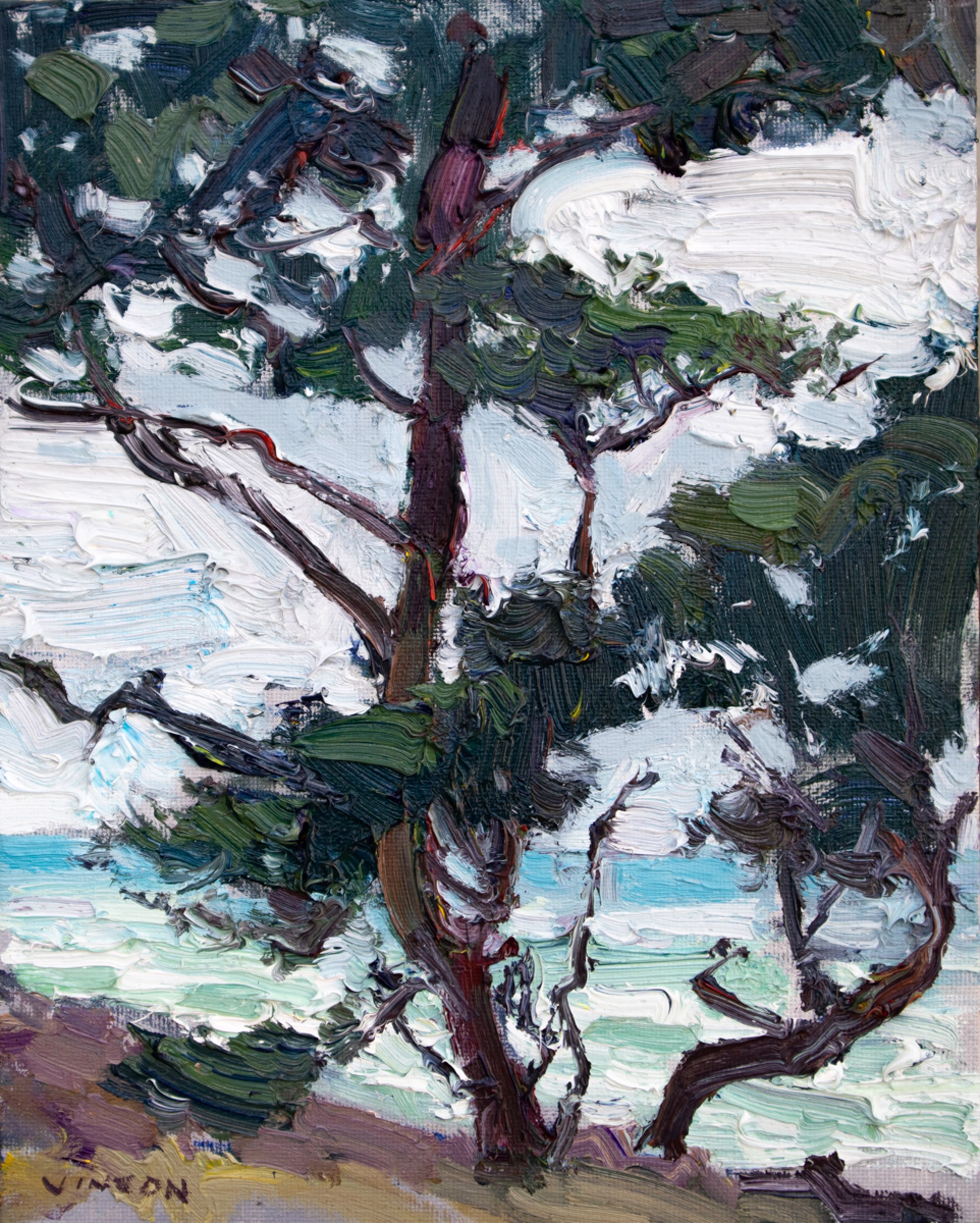 Costal Tree by Turner Vinson
