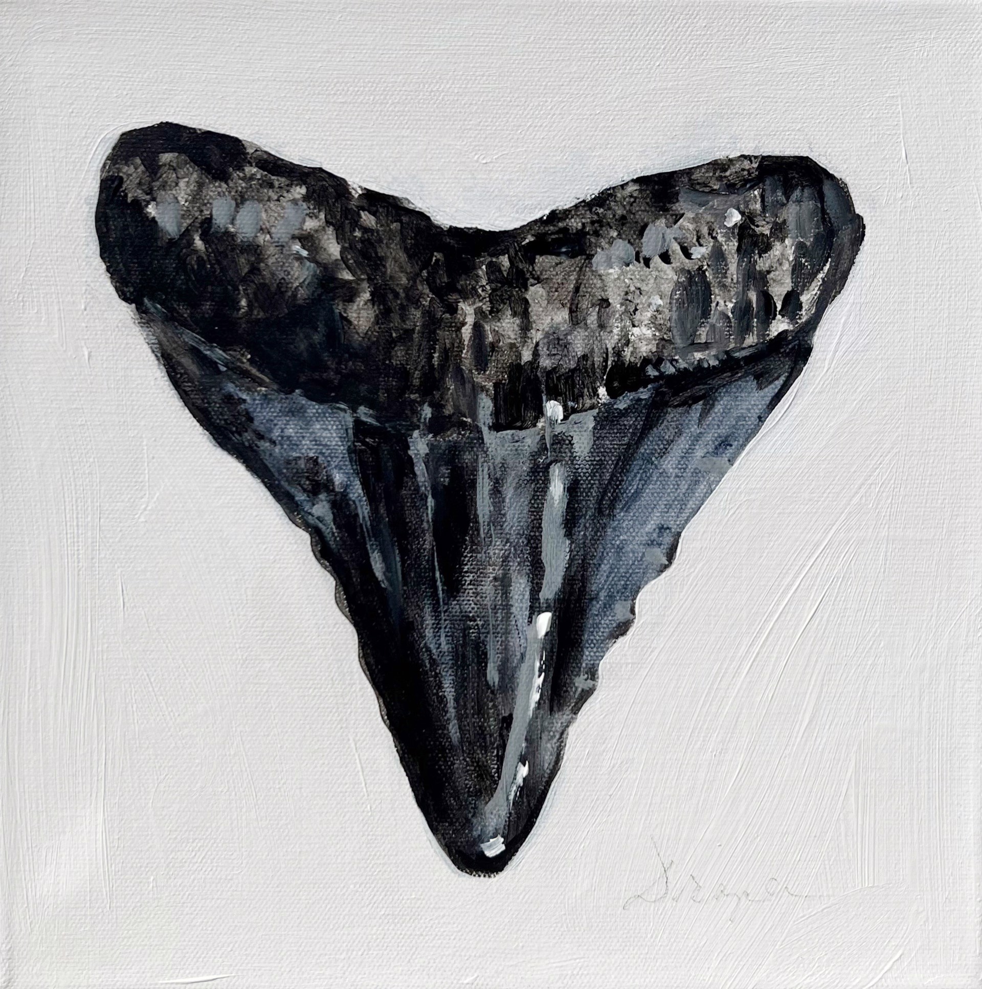 Shark Tooth No. 22 by Jim Draper