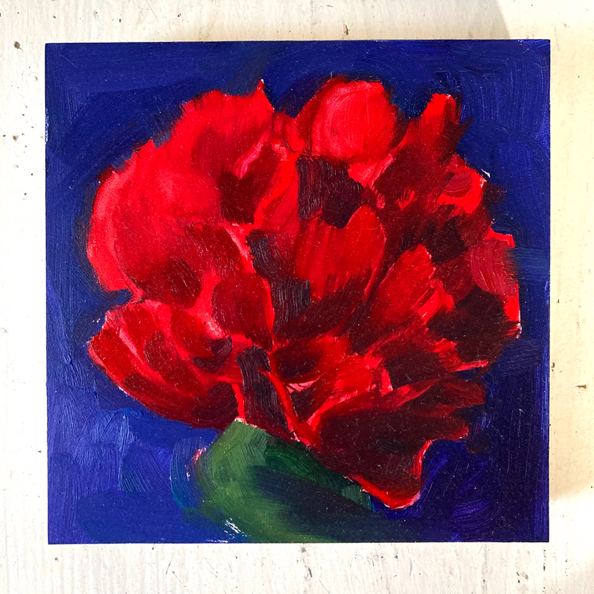 Peony Project #17 by Amy R. Peterson*