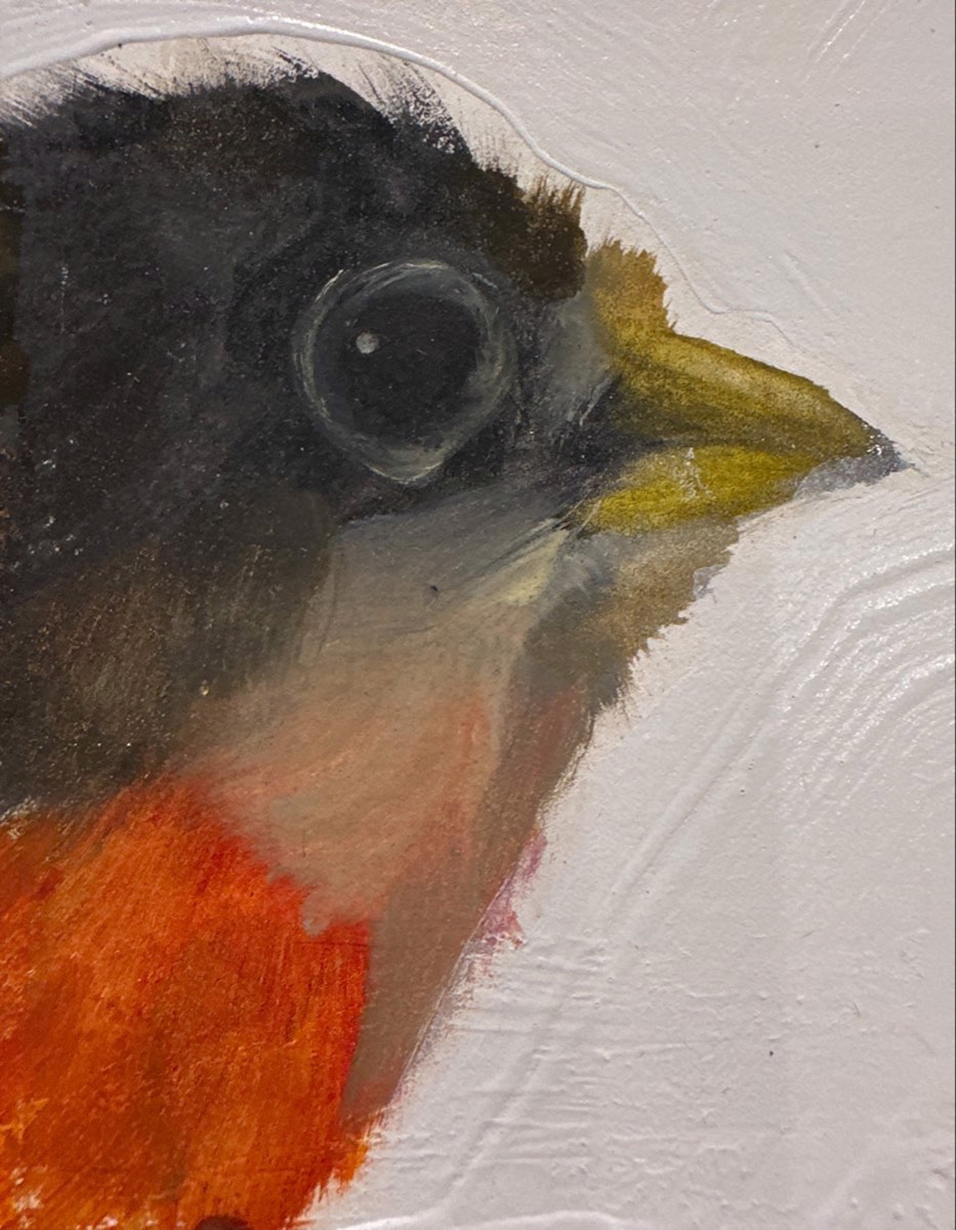 Bird Block (orange belly) by Diane Kilgore Condon