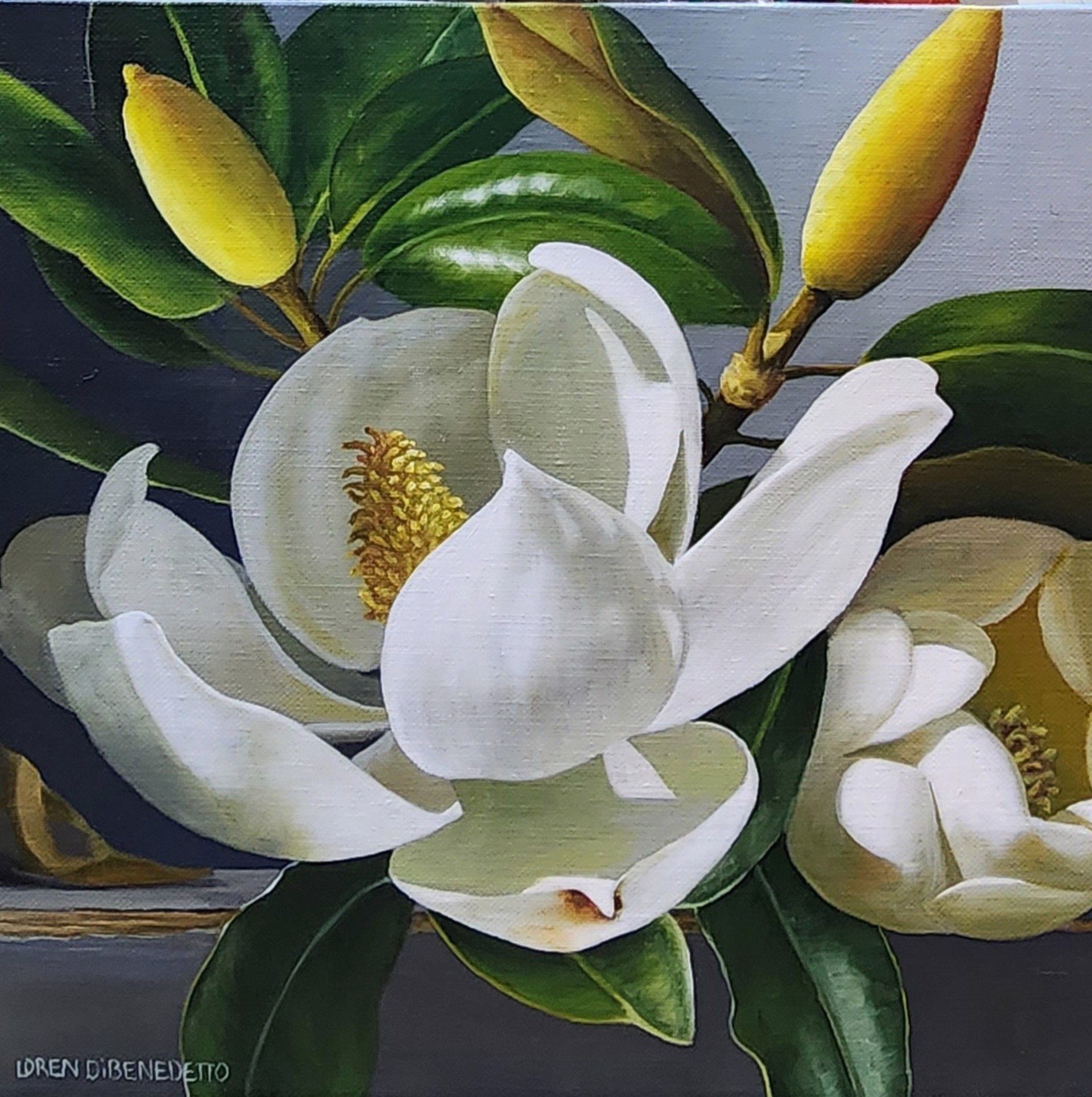 Magnolia Blooms by Loren DiBenedetto, OPA