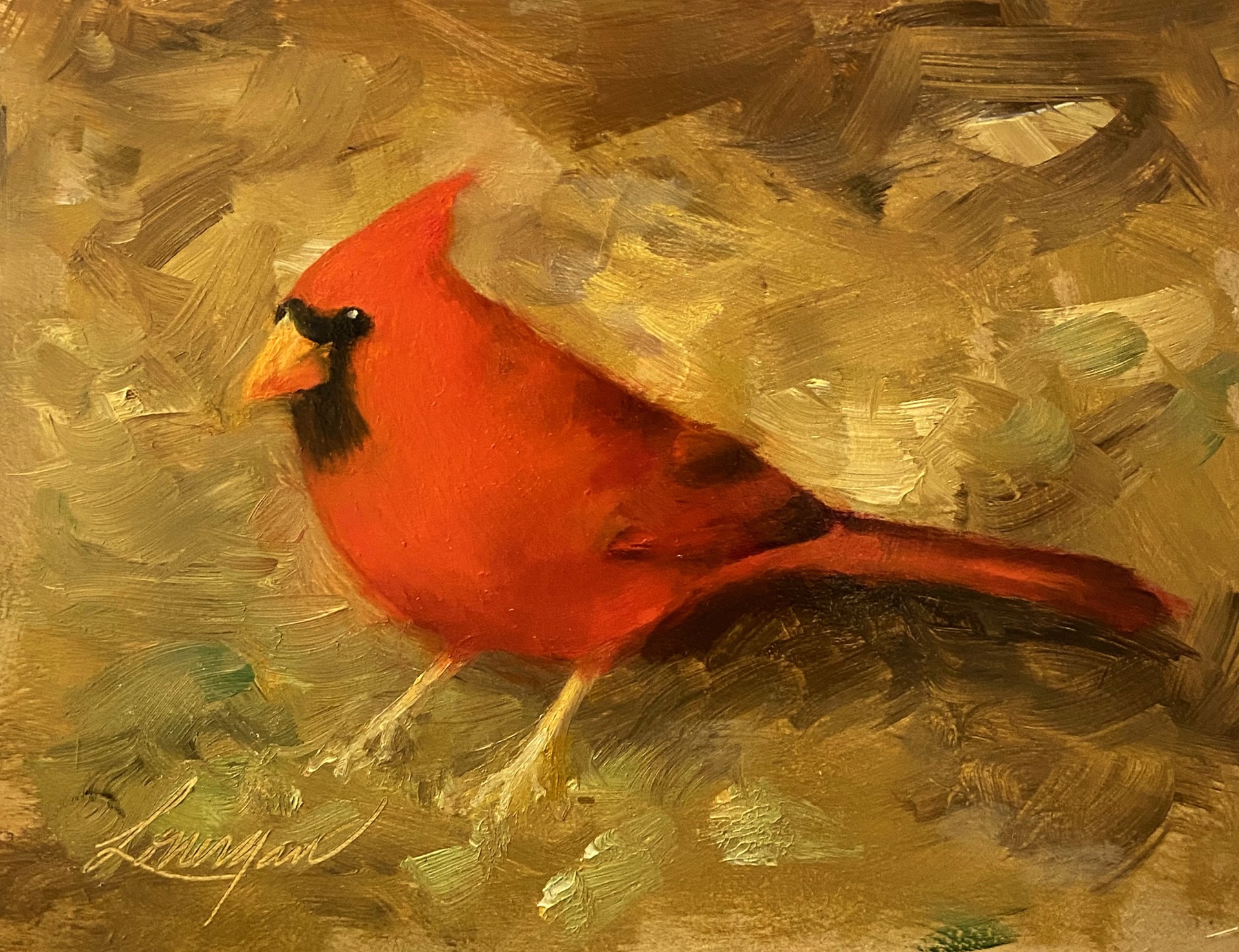 Bird in Sunlight by John Lonergan