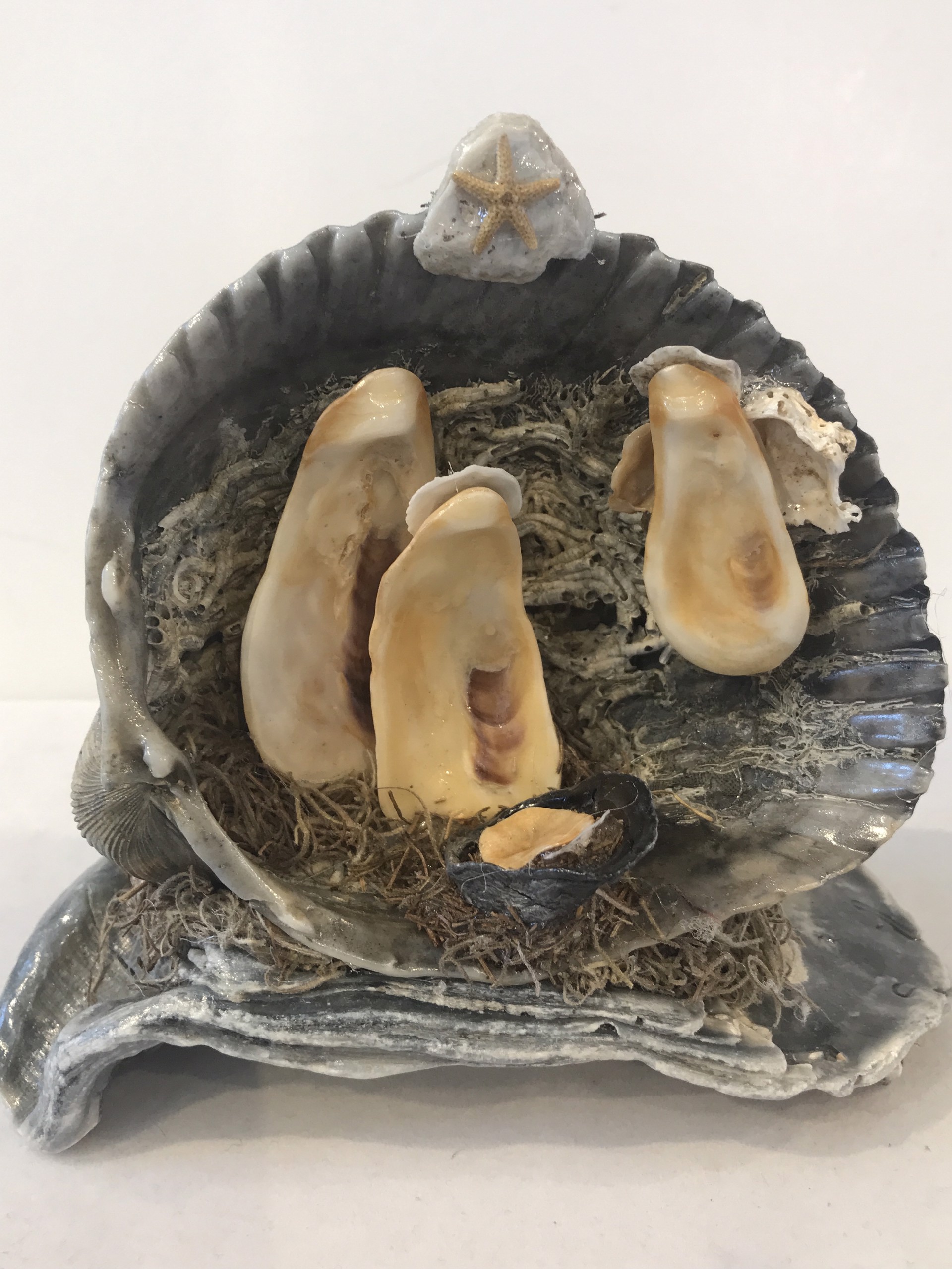 Cockle Shell on Oyster, Creche of the Sea, CN24-03 by Chris Nietert