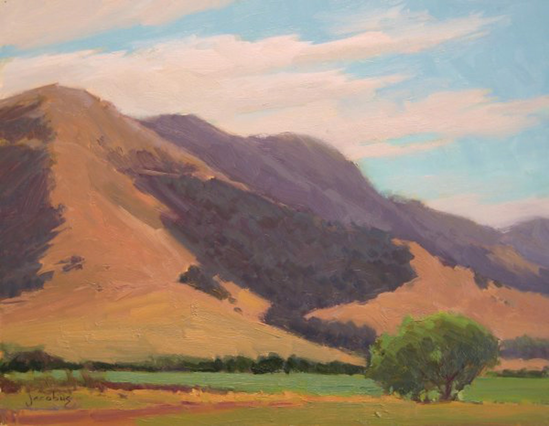 Santa Ynez Hills by Jacobus Baas