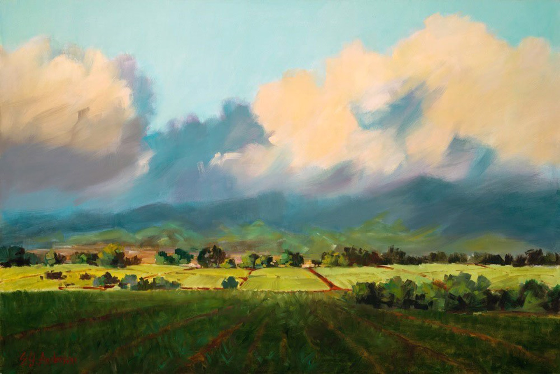 Fields in a Setting Sun by Susie Y. Anderson